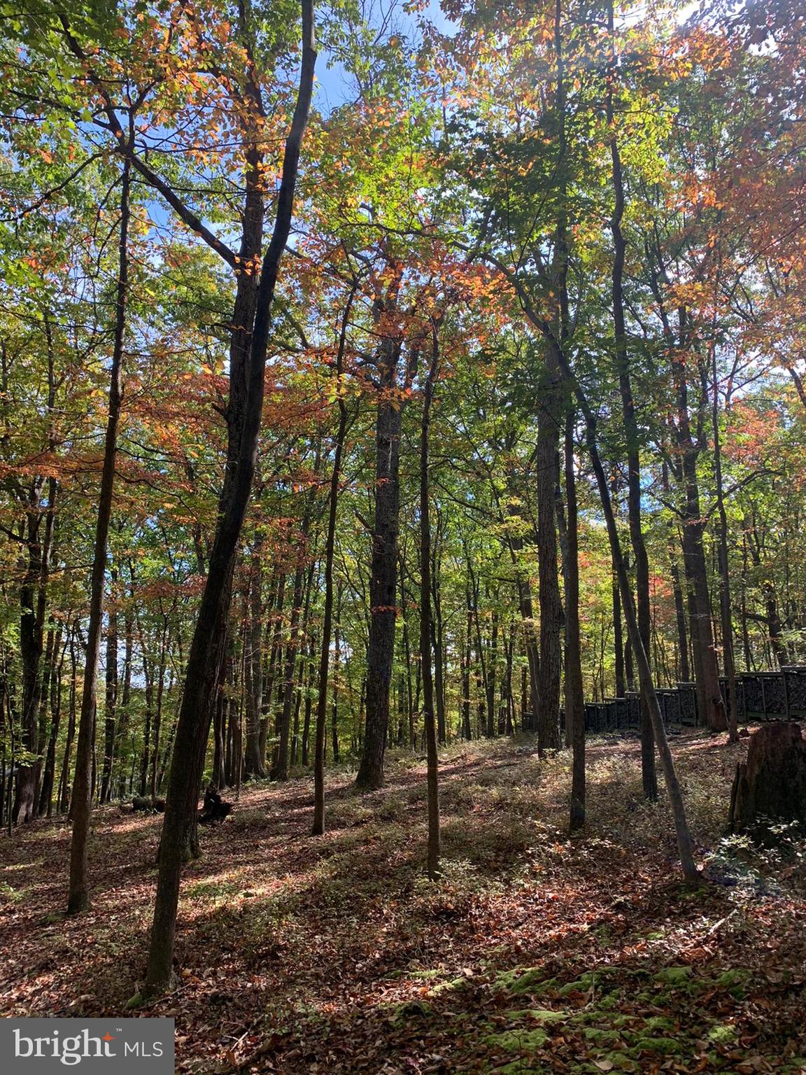 2609 LOOKOUT ROAD