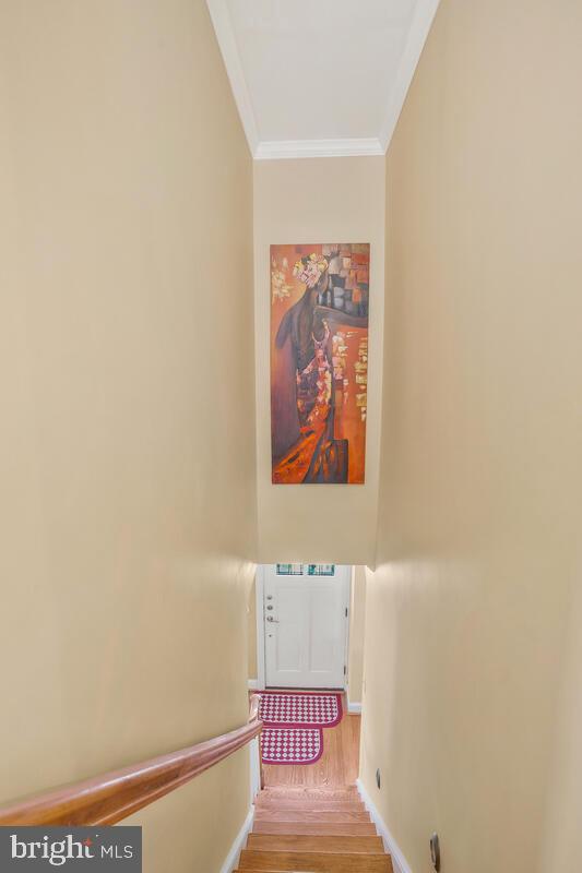 AVONDALE GROVE - Residential