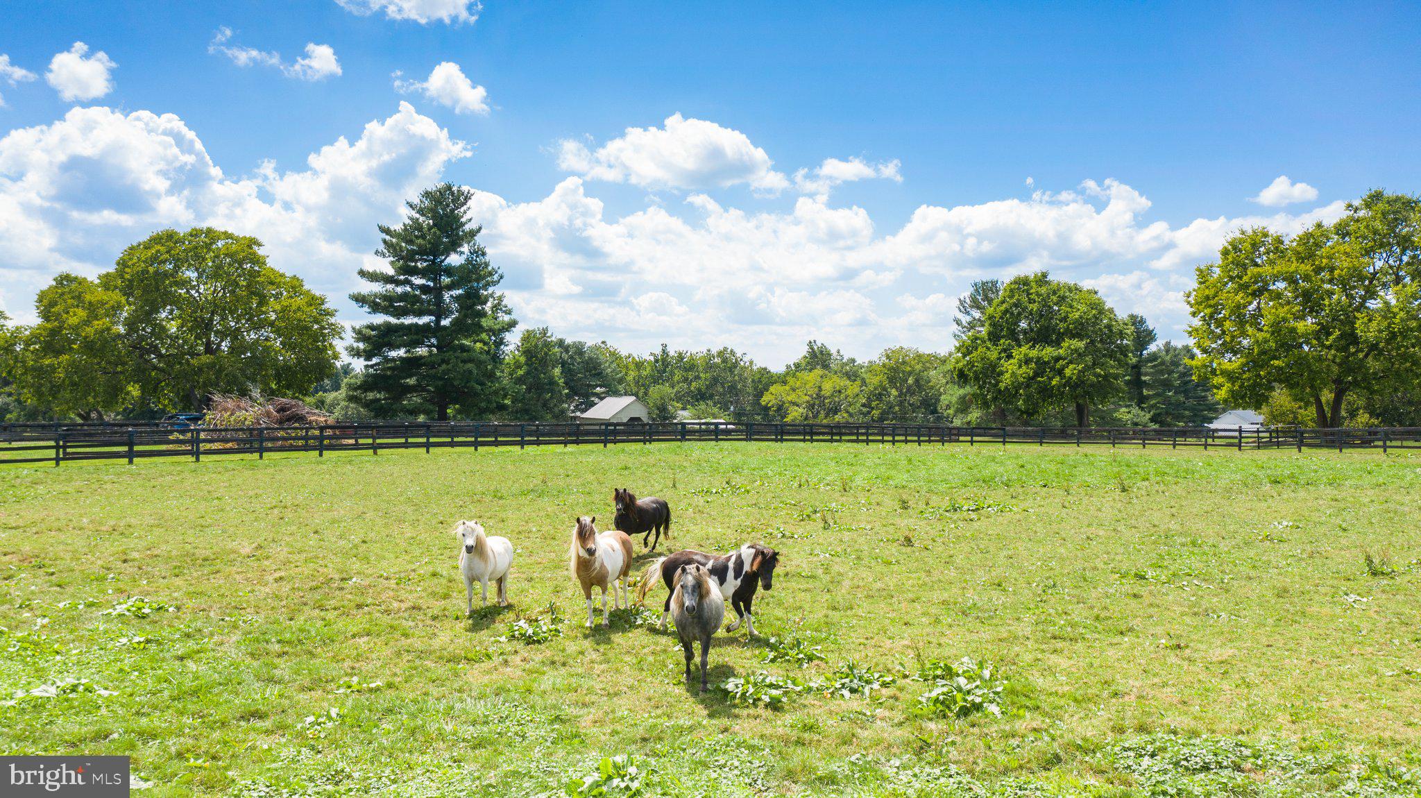 ATOKA CHASE - Residential