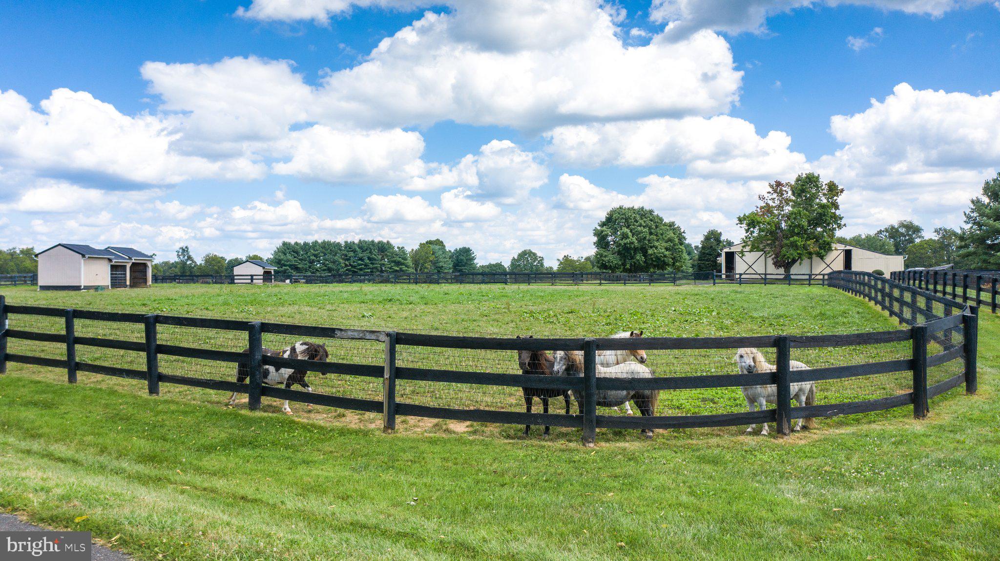 ATOKA CHASE - Residential