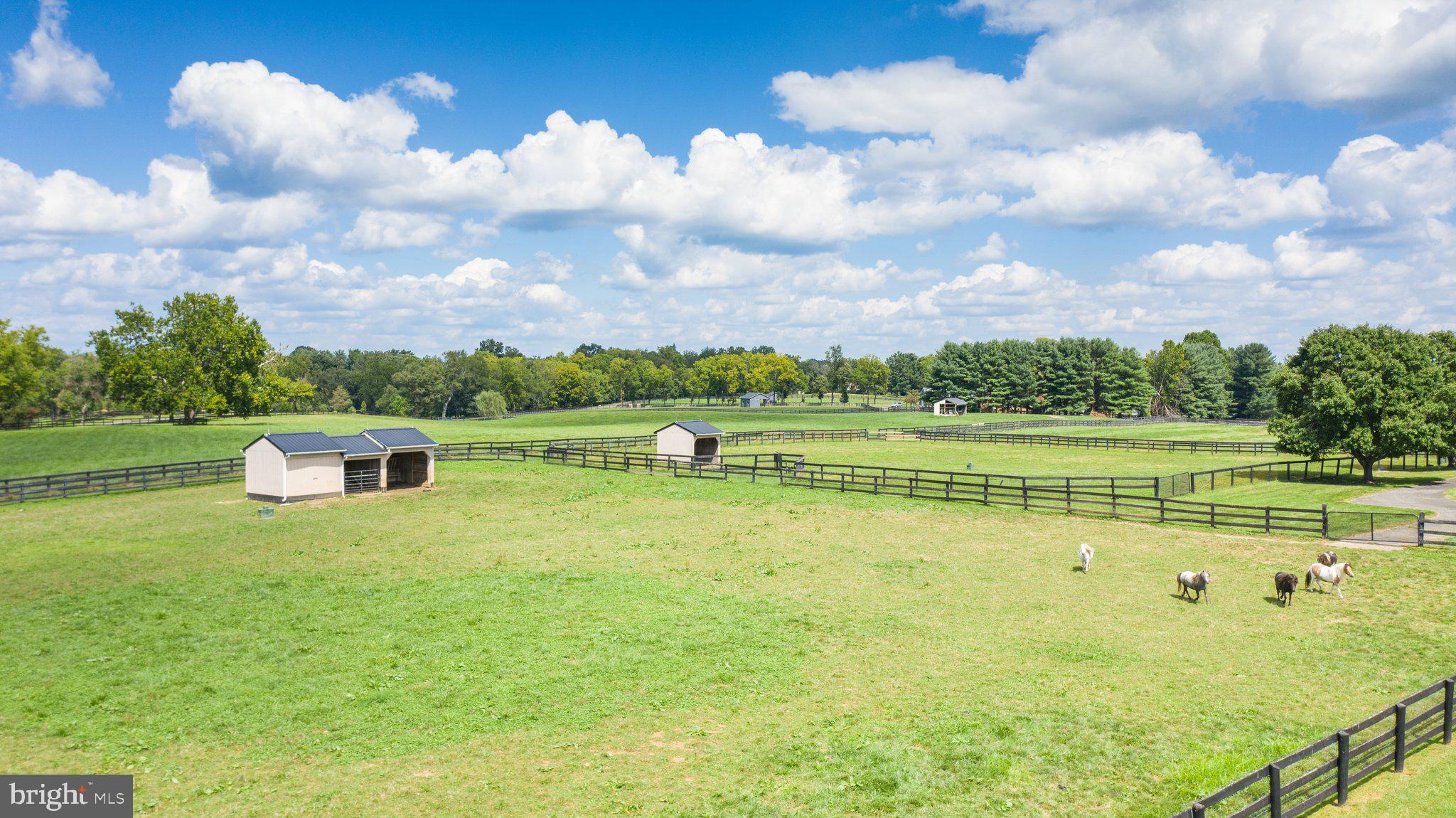 ATOKA CHASE - Residential