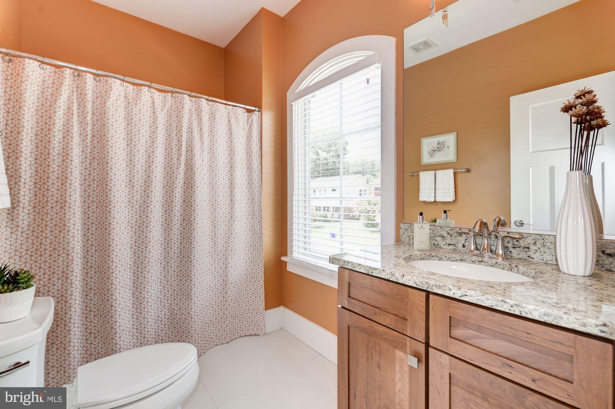 THE WILLIAMSBURG - Residential