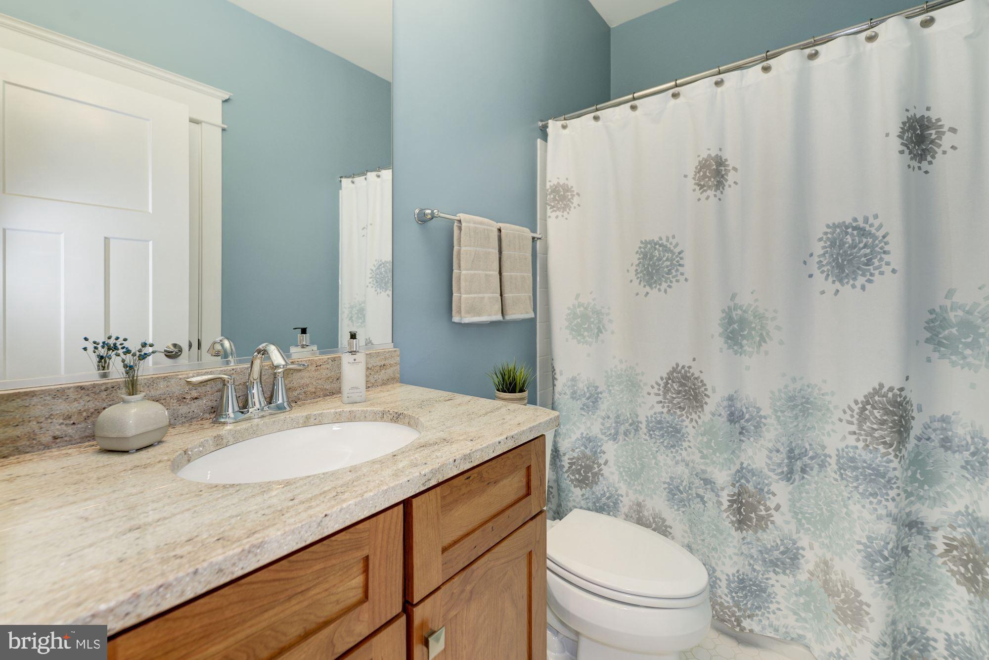 THE WILLIAMSBURG - Residential