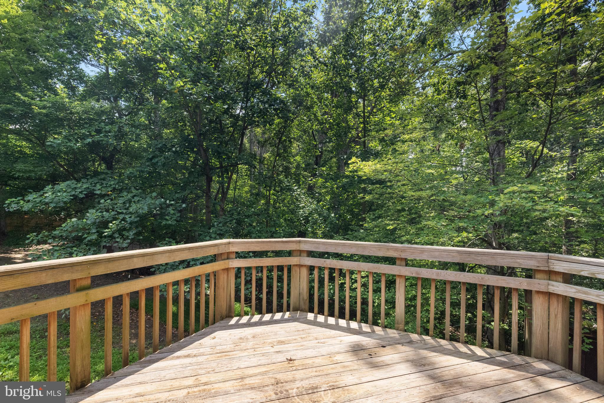 SHENANDOAH NORTH - Residential