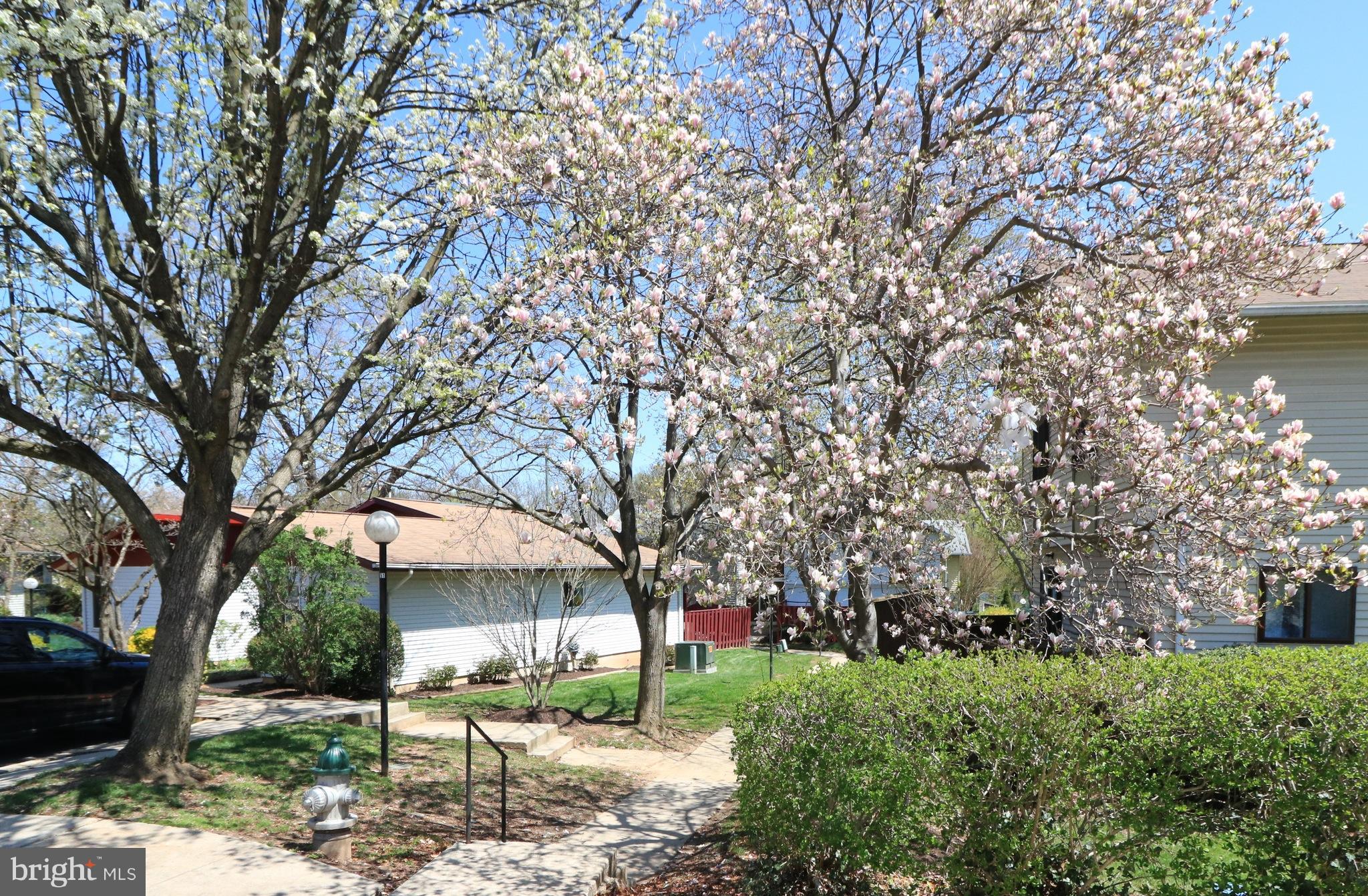 NEWPORT ESTATES - Residential Lease