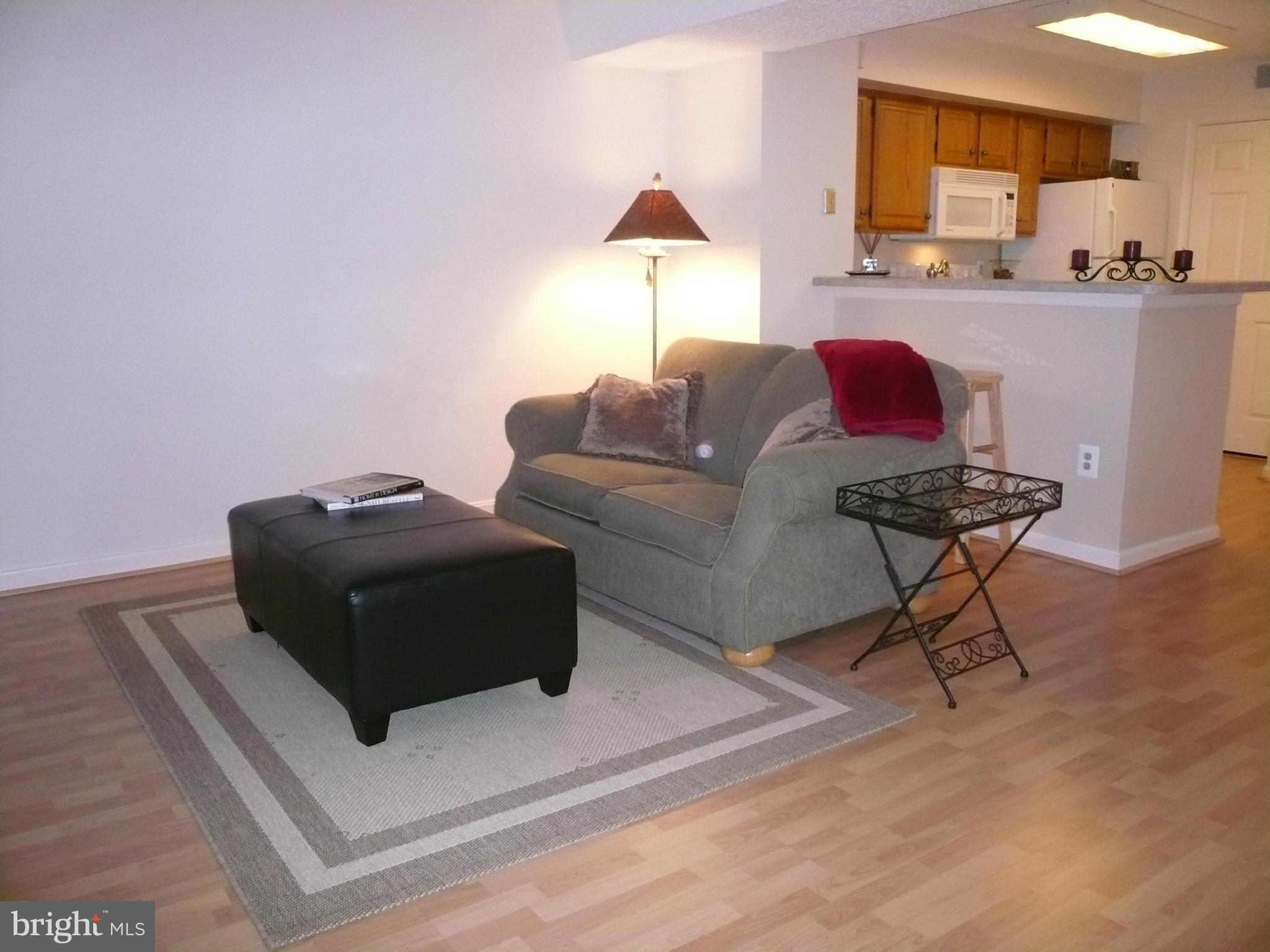 THE TIERS OF WALDEN - Residential Lease