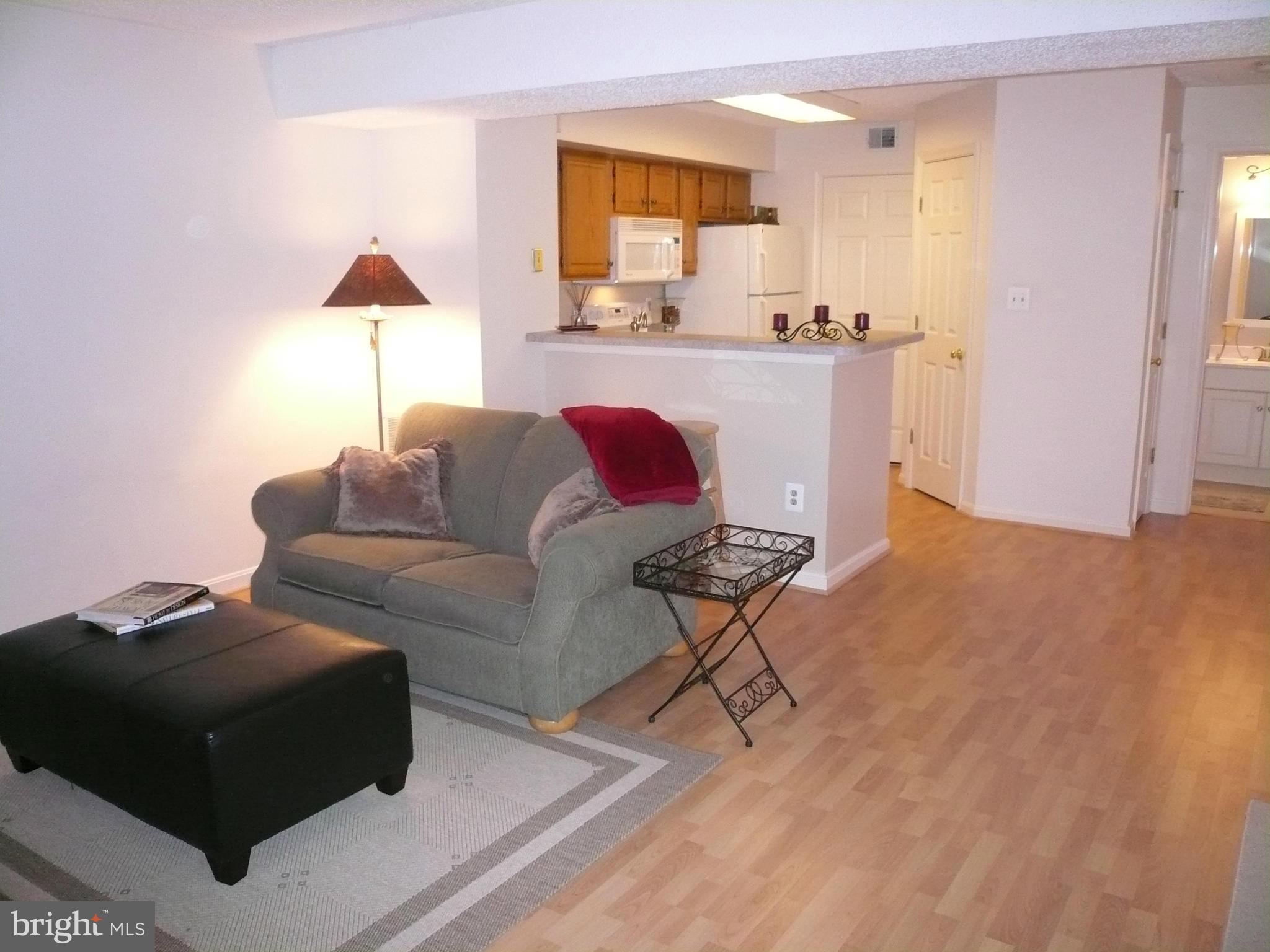 THE TIERS OF WALDEN - Residential Lease