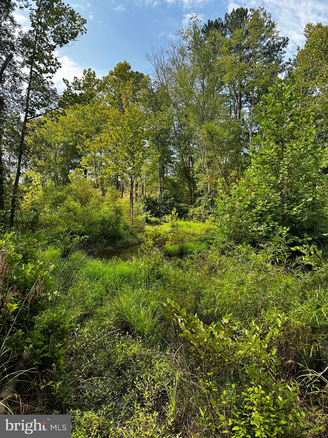 29672 ELEYS FORD RD