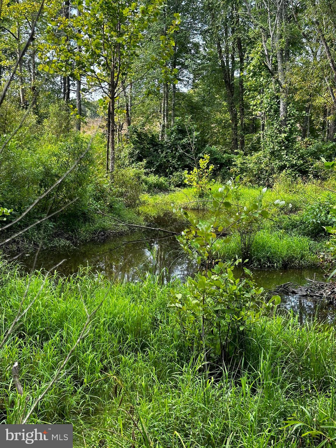 29672 ELEYS FORD RD