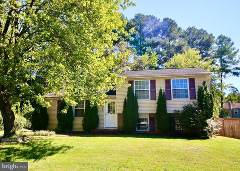 5841 PARAKEET DRIVE BURKE VA 22015