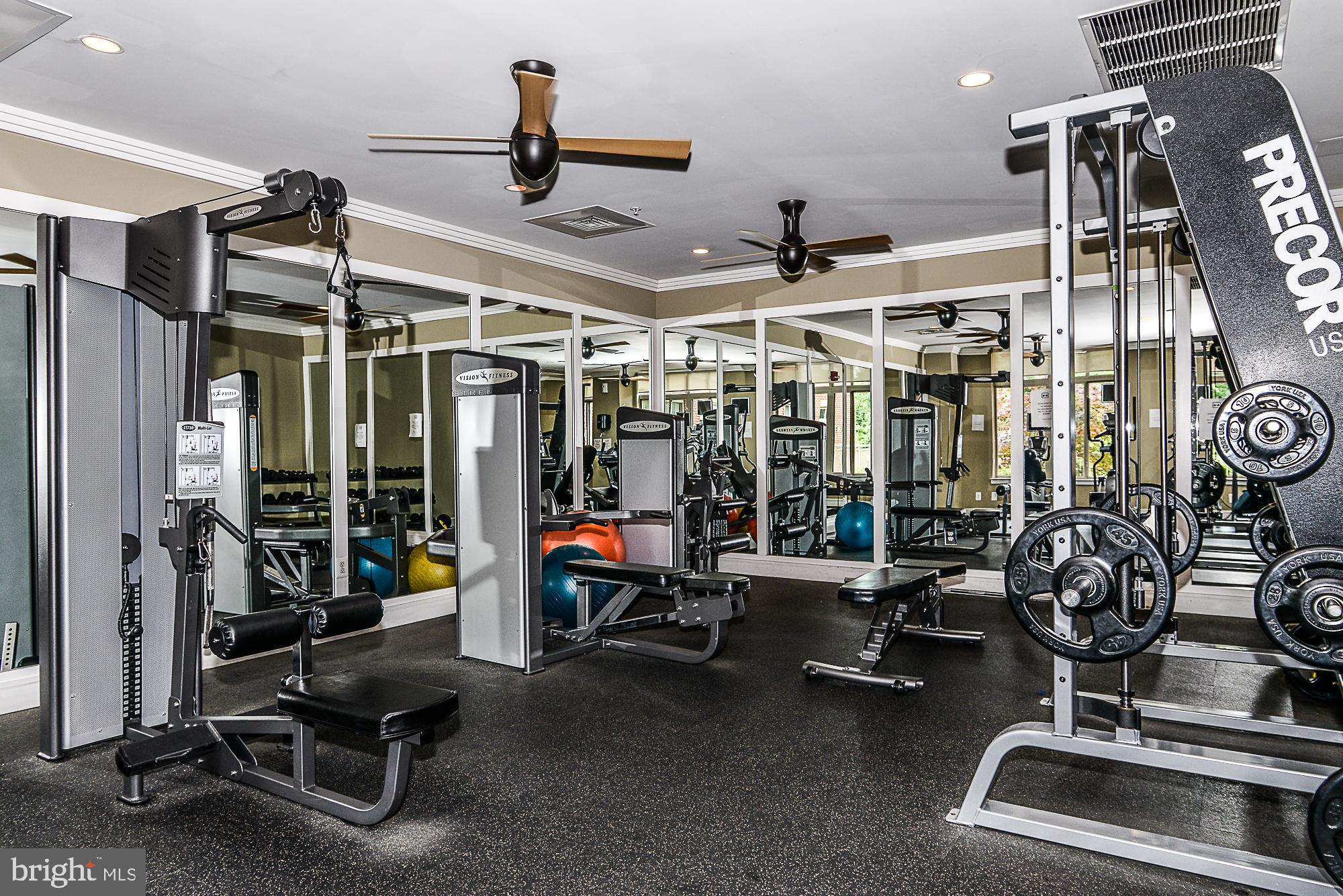 ELAN AT EAST MARKET - Residential