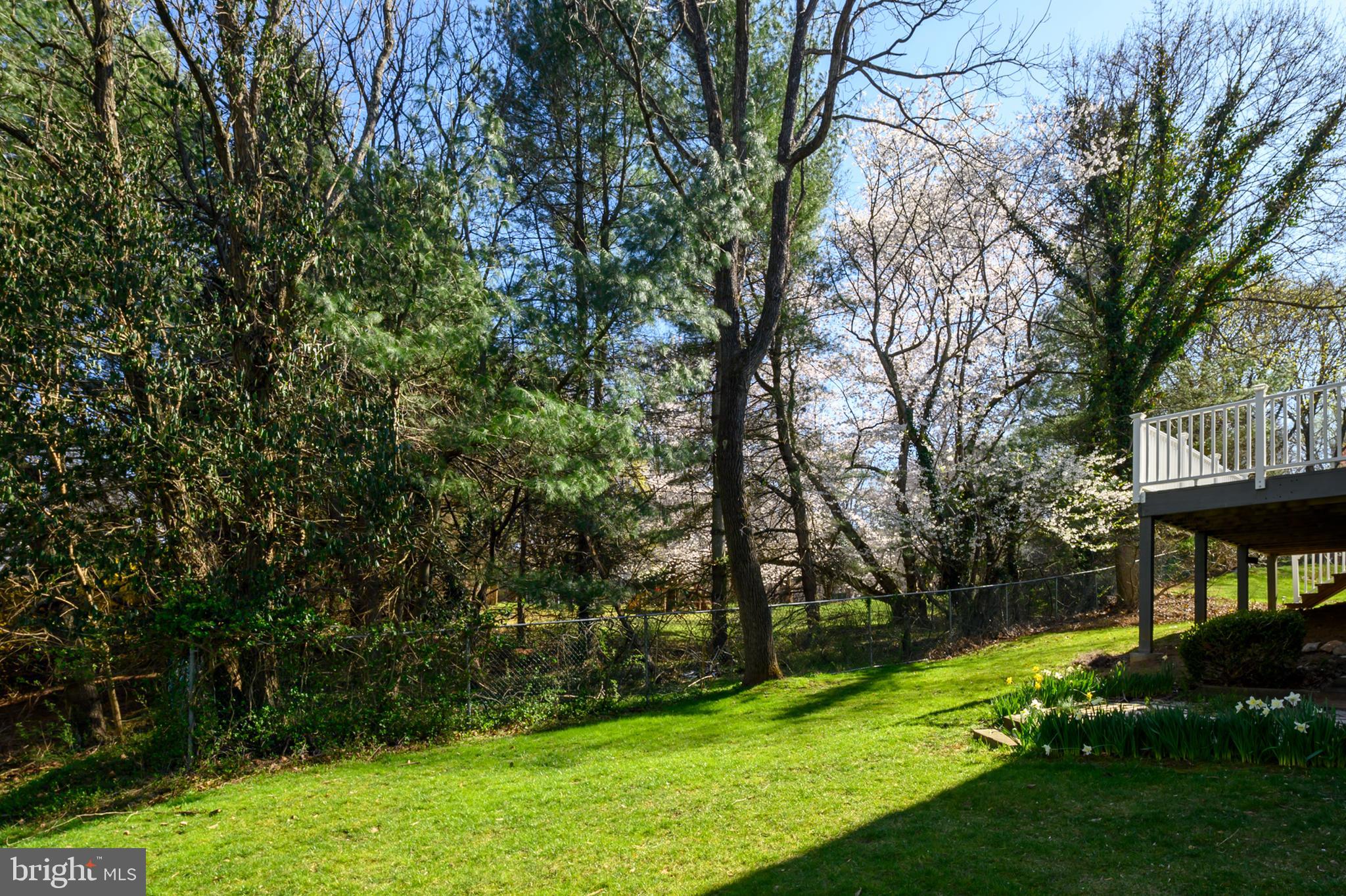 BRYCE OVERLOOK - Residential