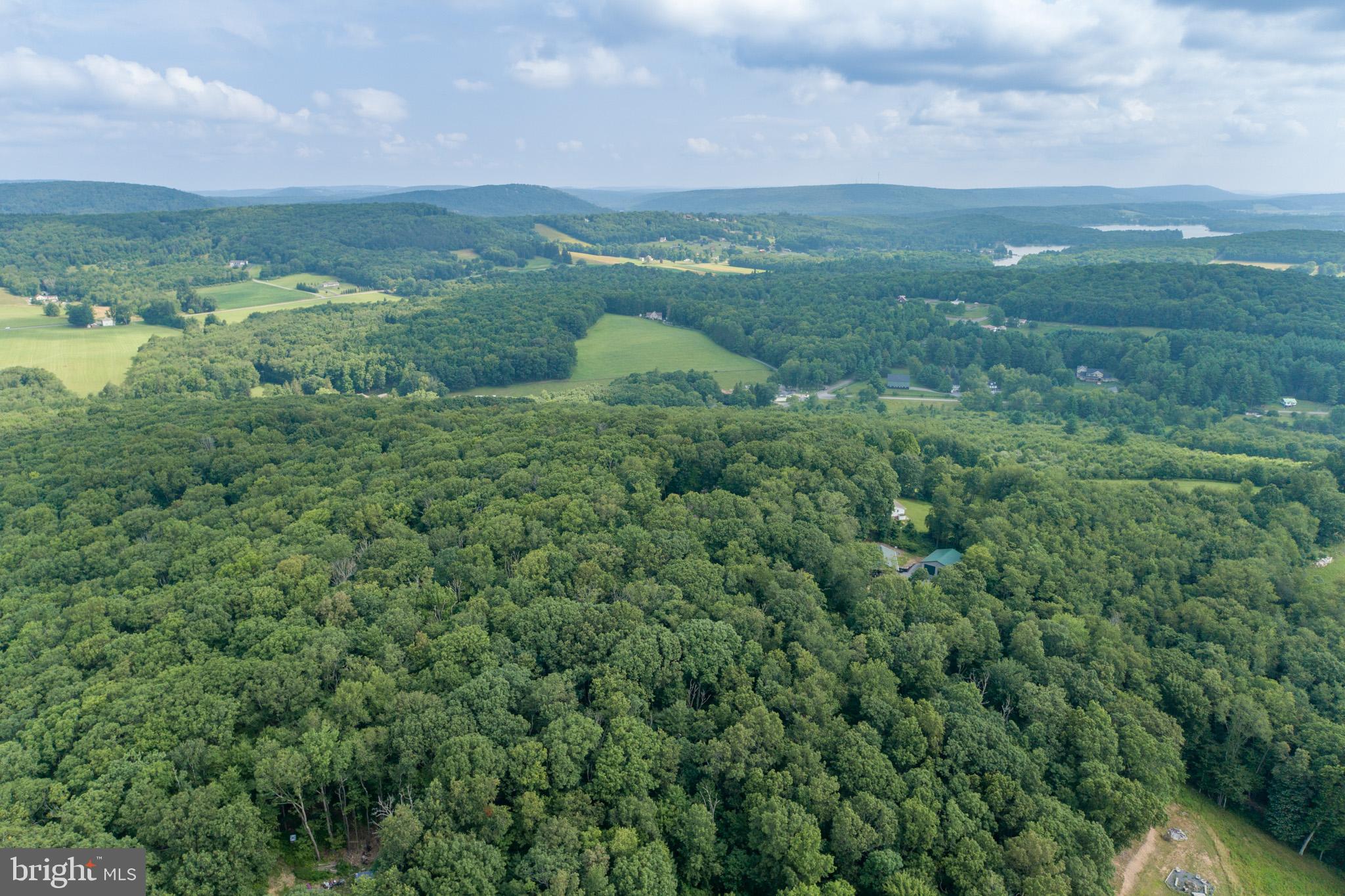 GEORGE BRUNSON - Land