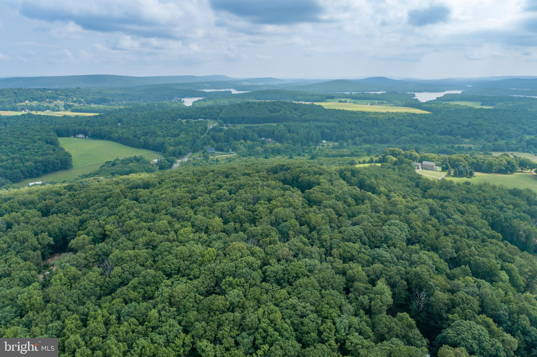 GEORGE BRUNSON - Land