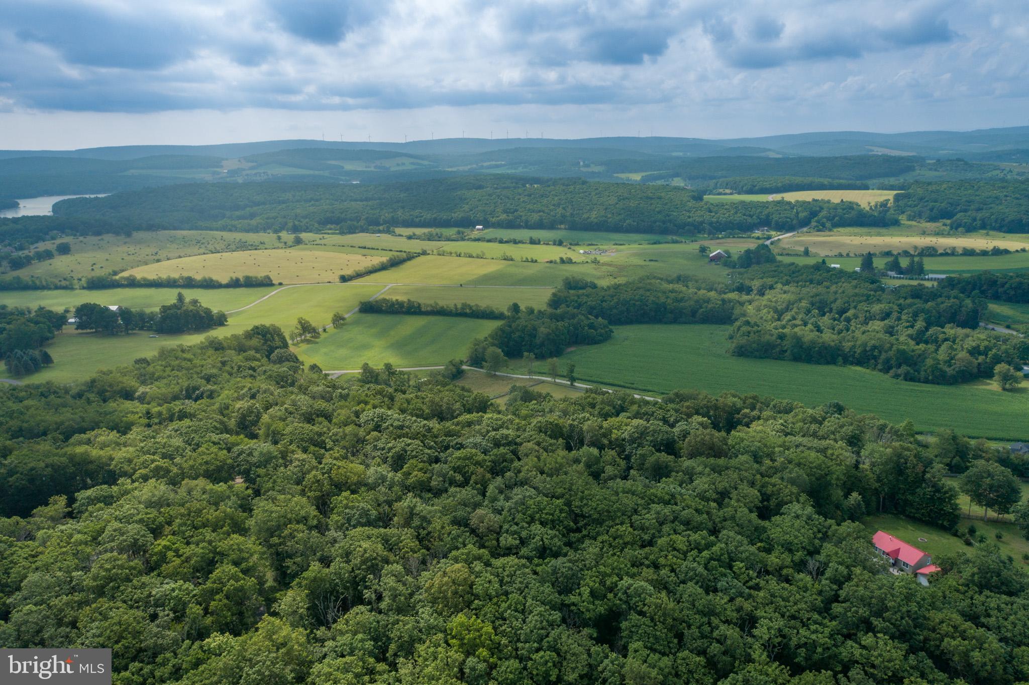 GEORGE BRUNSON - Land