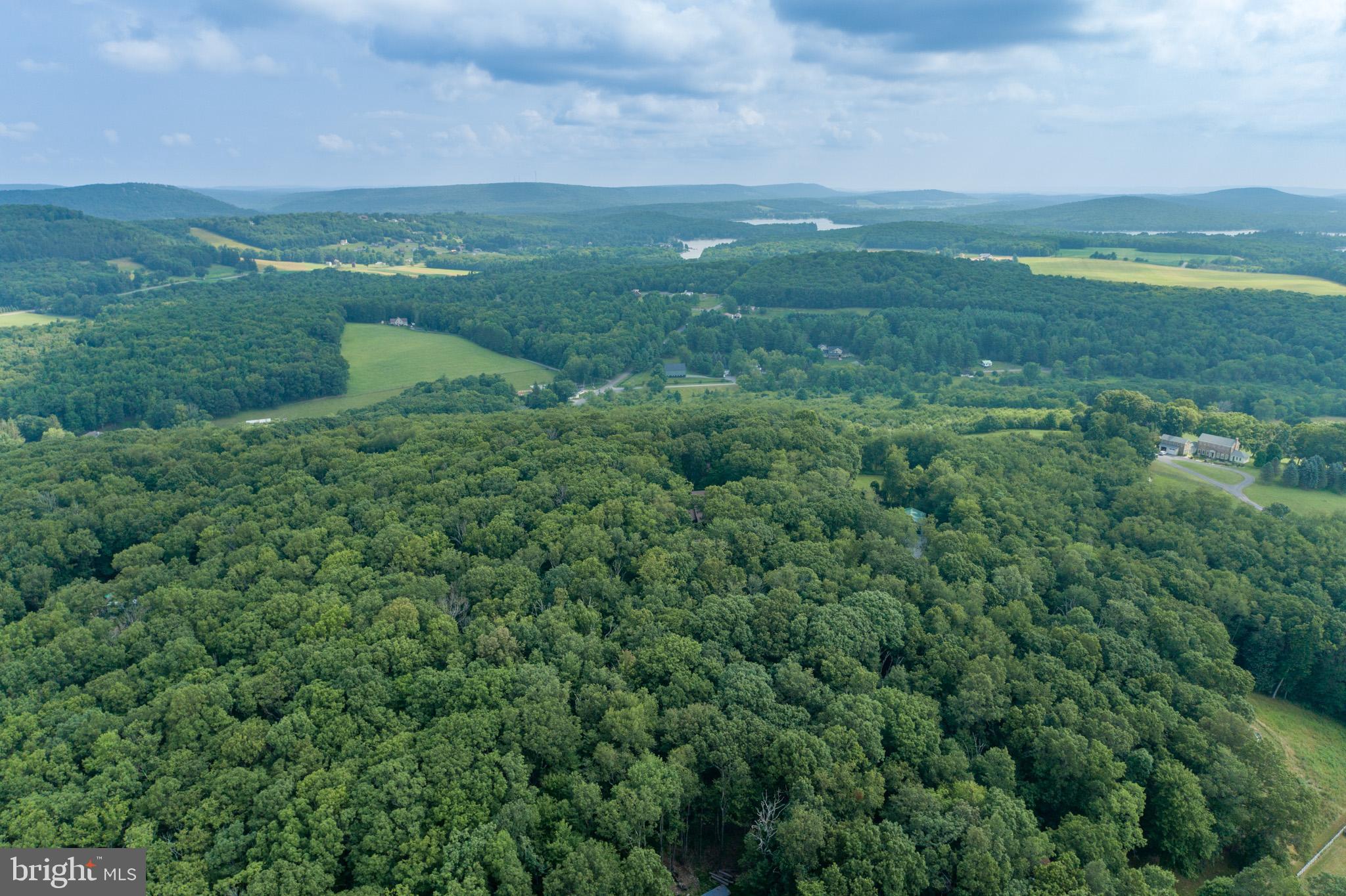 GEORGE BRUNSON - Land