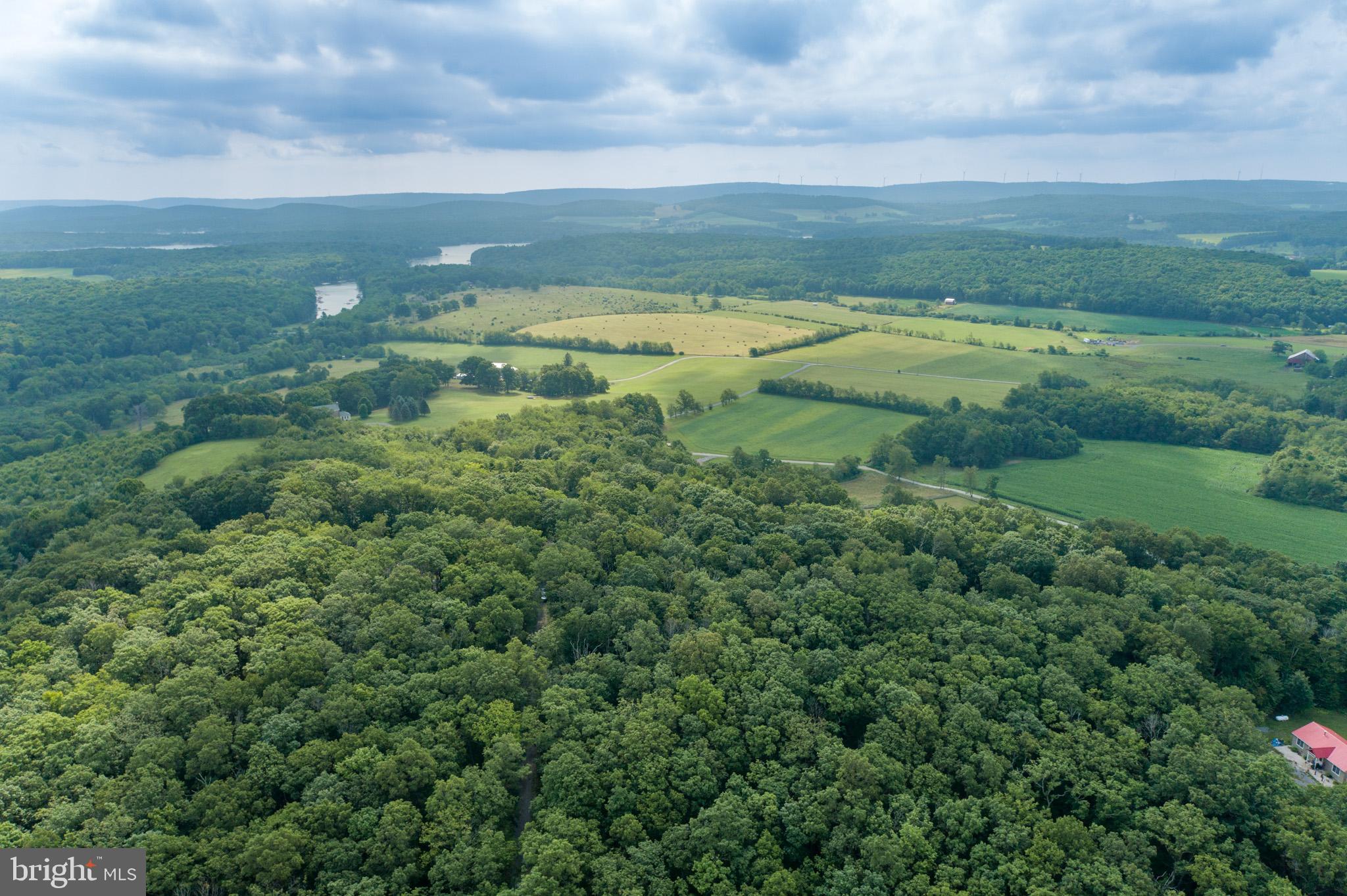 GEORGE BRUNSON - Land