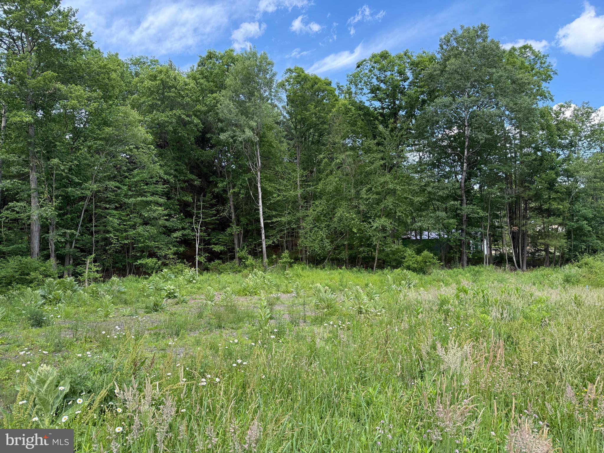 0 FROG HOLLOW ROAD