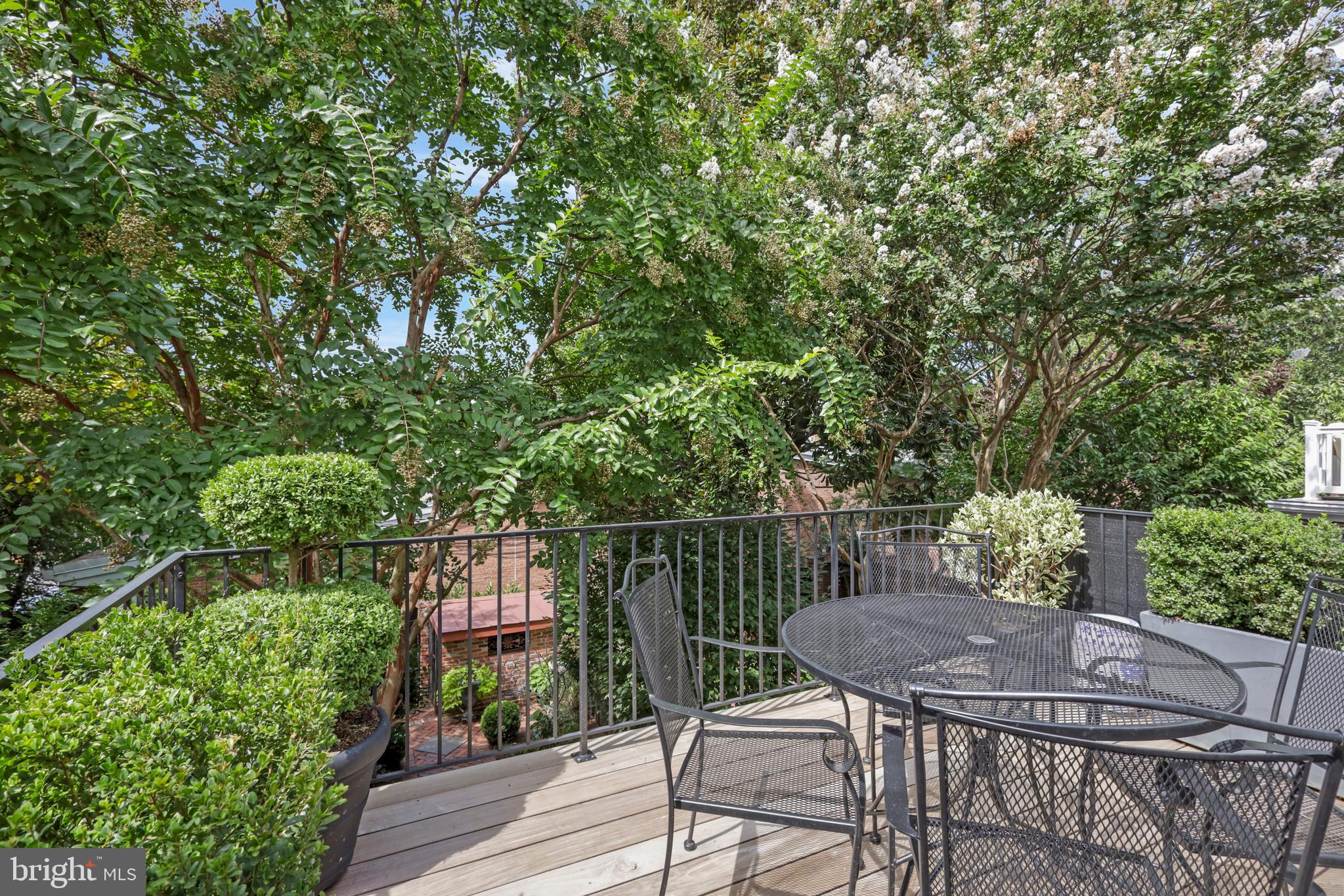 OLD TOWN ALEXANDRIA - Residential