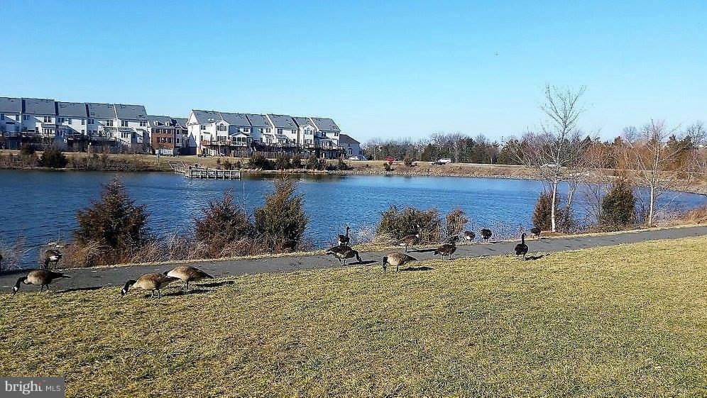 AMBERLEA AT SOUTH RIDING - Residential Lease