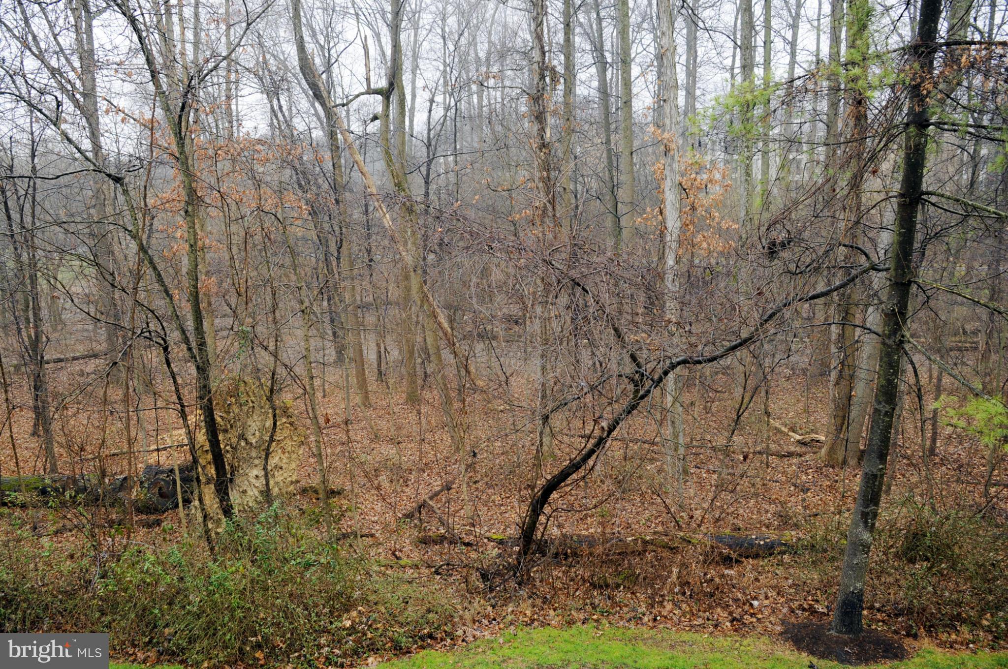 VILLAGE OF HICKORY RIDGE - Residential Lease