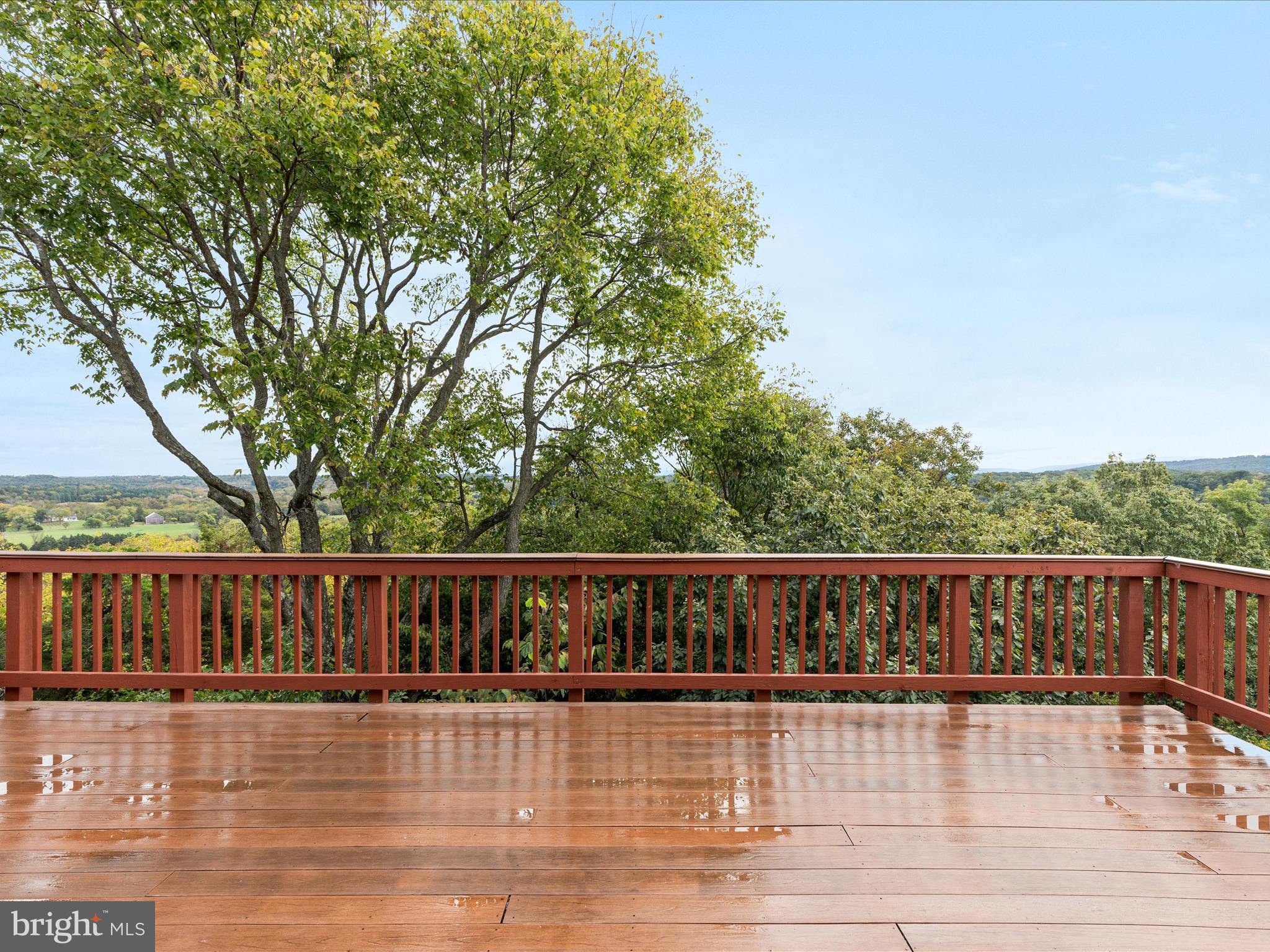 DAVIS STRASBURG - Residential Lease