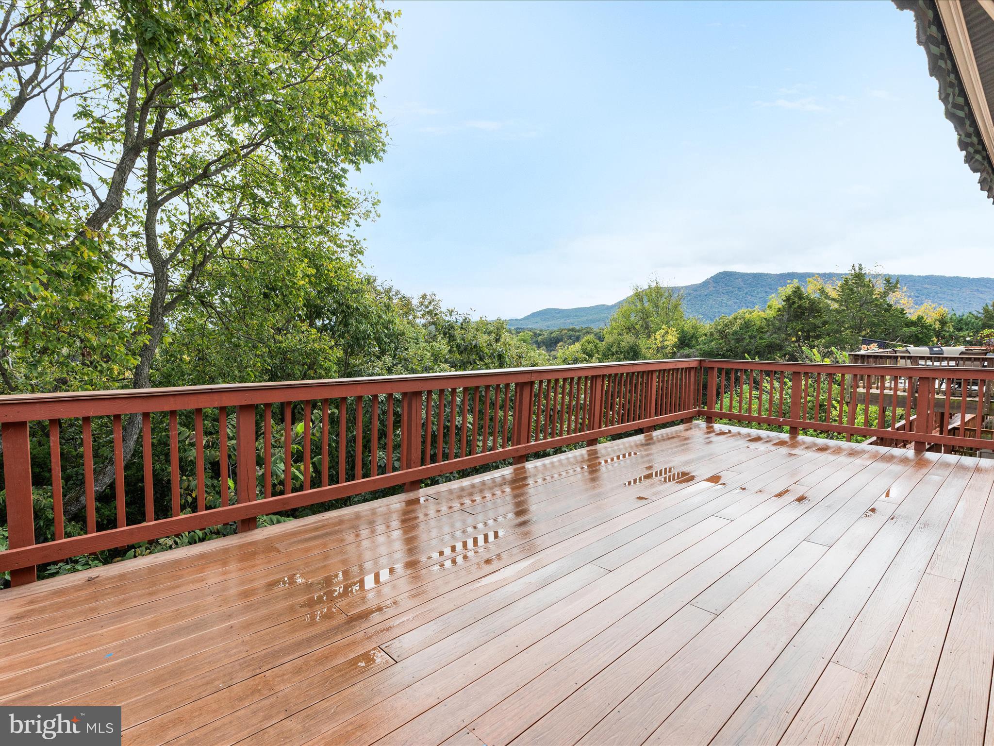 DAVIS STRASBURG - Residential Lease