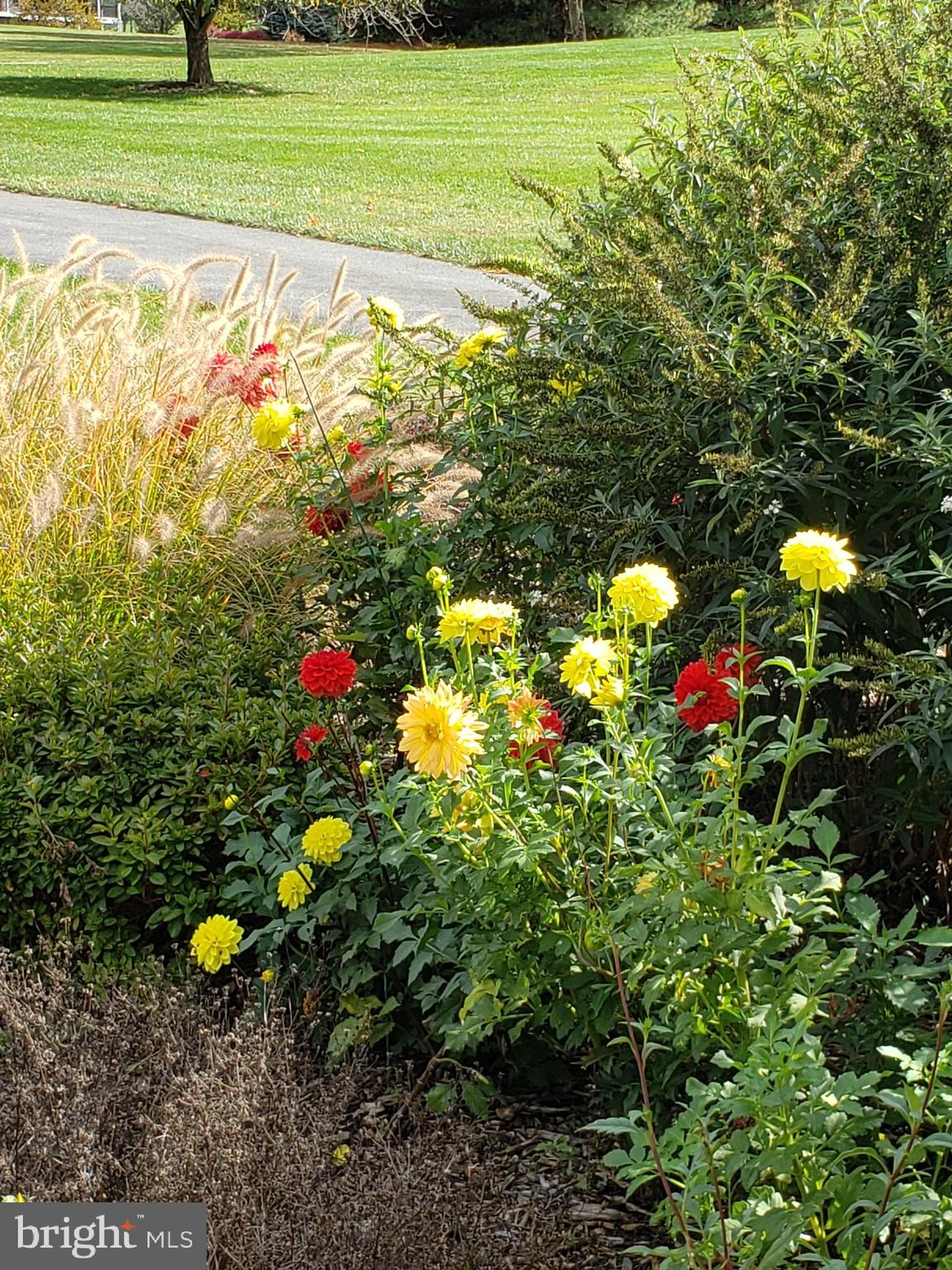 CLEARVIEW ESTATES - Residential