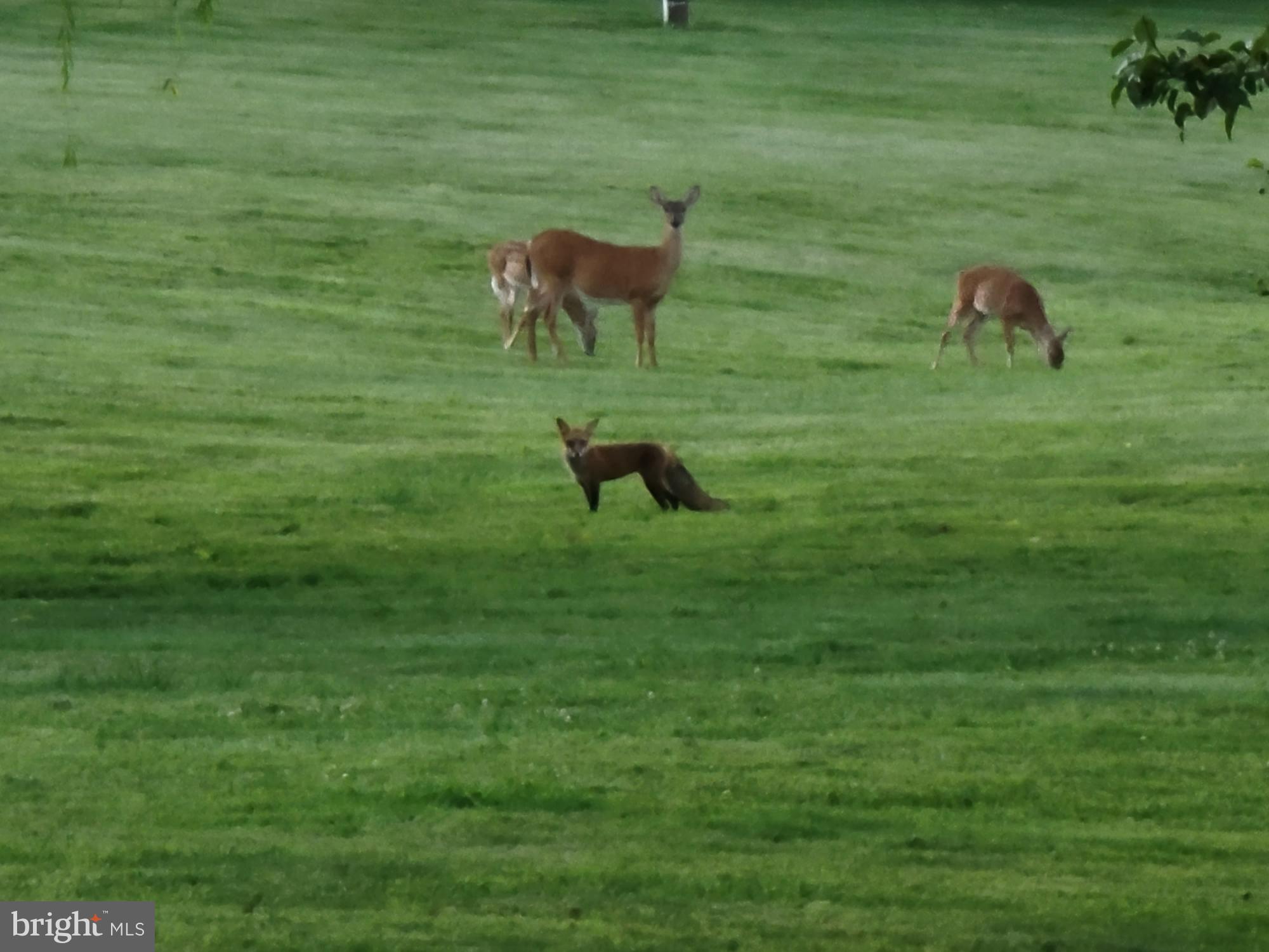 CLEARVIEW ESTATES - Residential