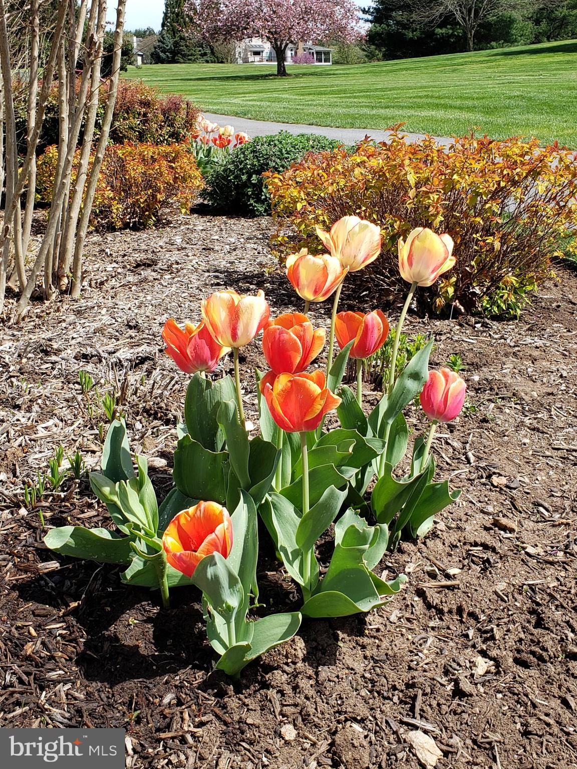 CLEARVIEW ESTATES - Residential