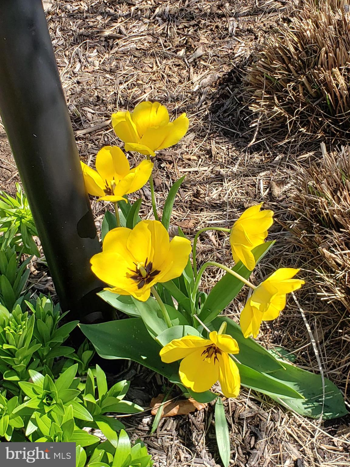 CLEARVIEW ESTATES - Residential