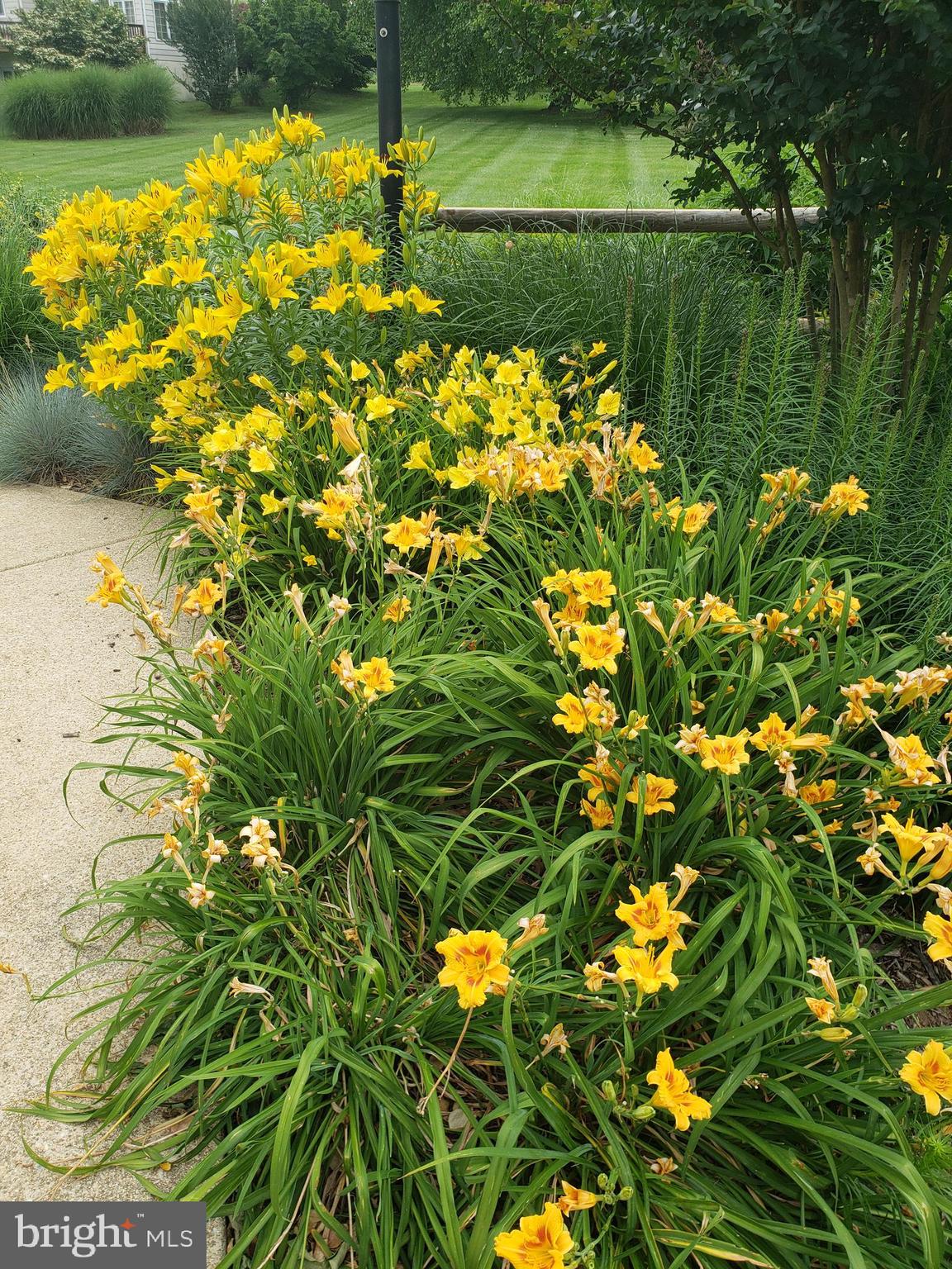 CLEARVIEW ESTATES - Residential