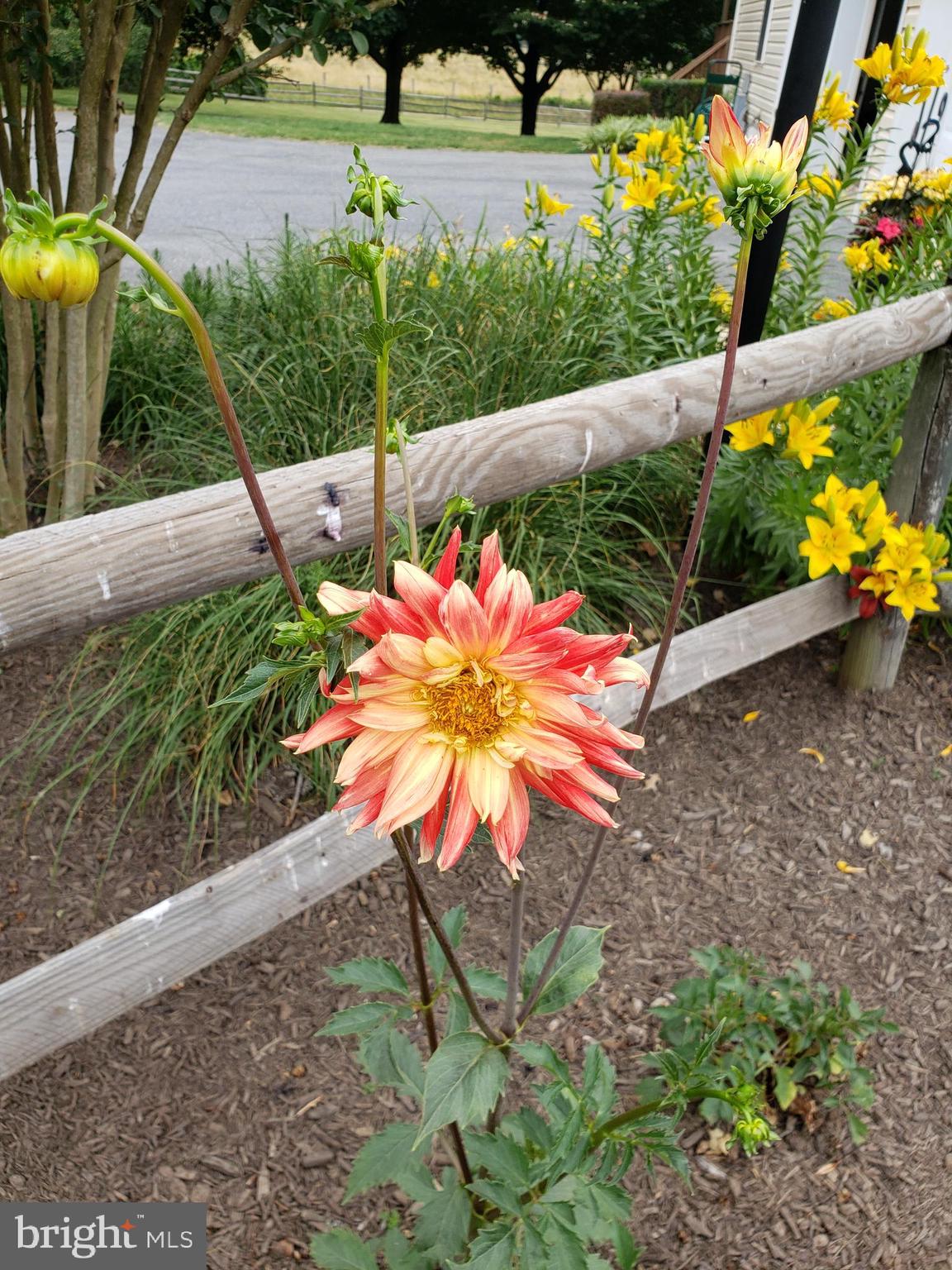 CLEARVIEW ESTATES - Residential