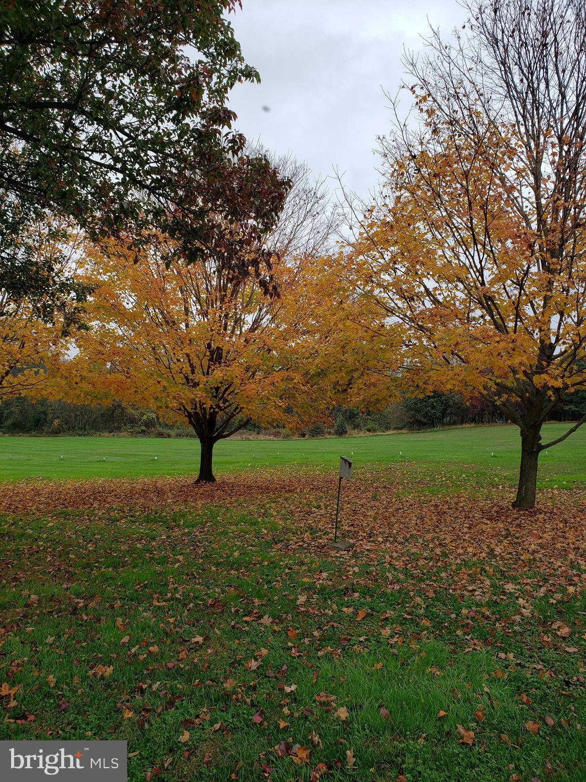 CLEARVIEW ESTATES - Residential