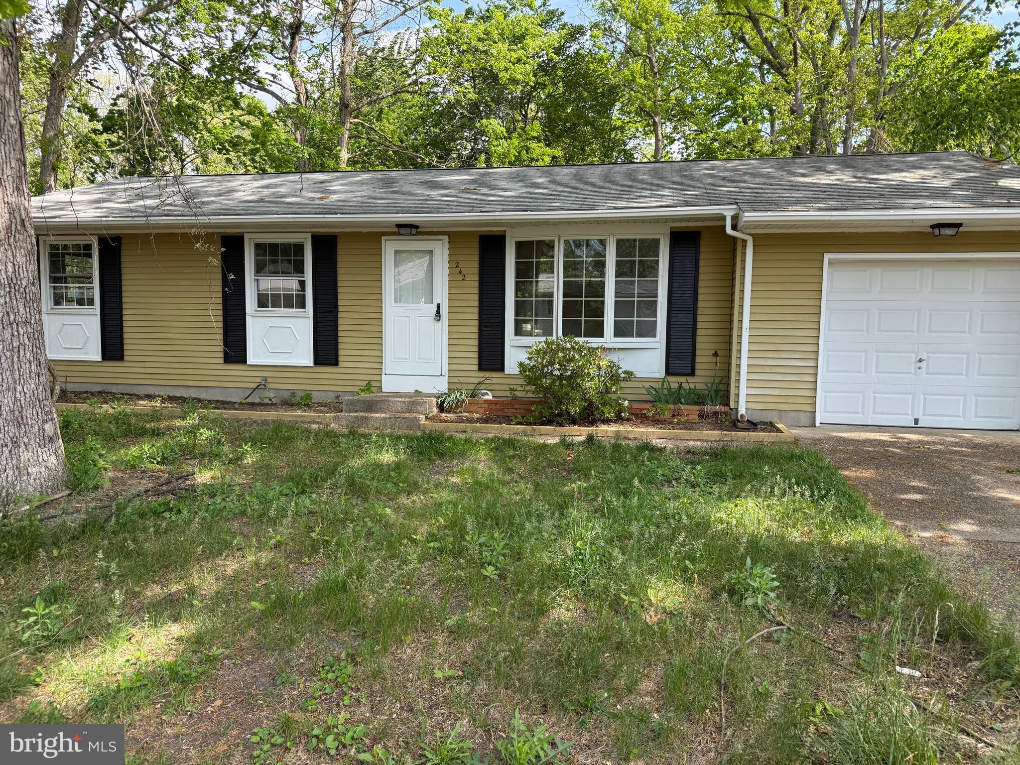 242 CURTIN AVENUE