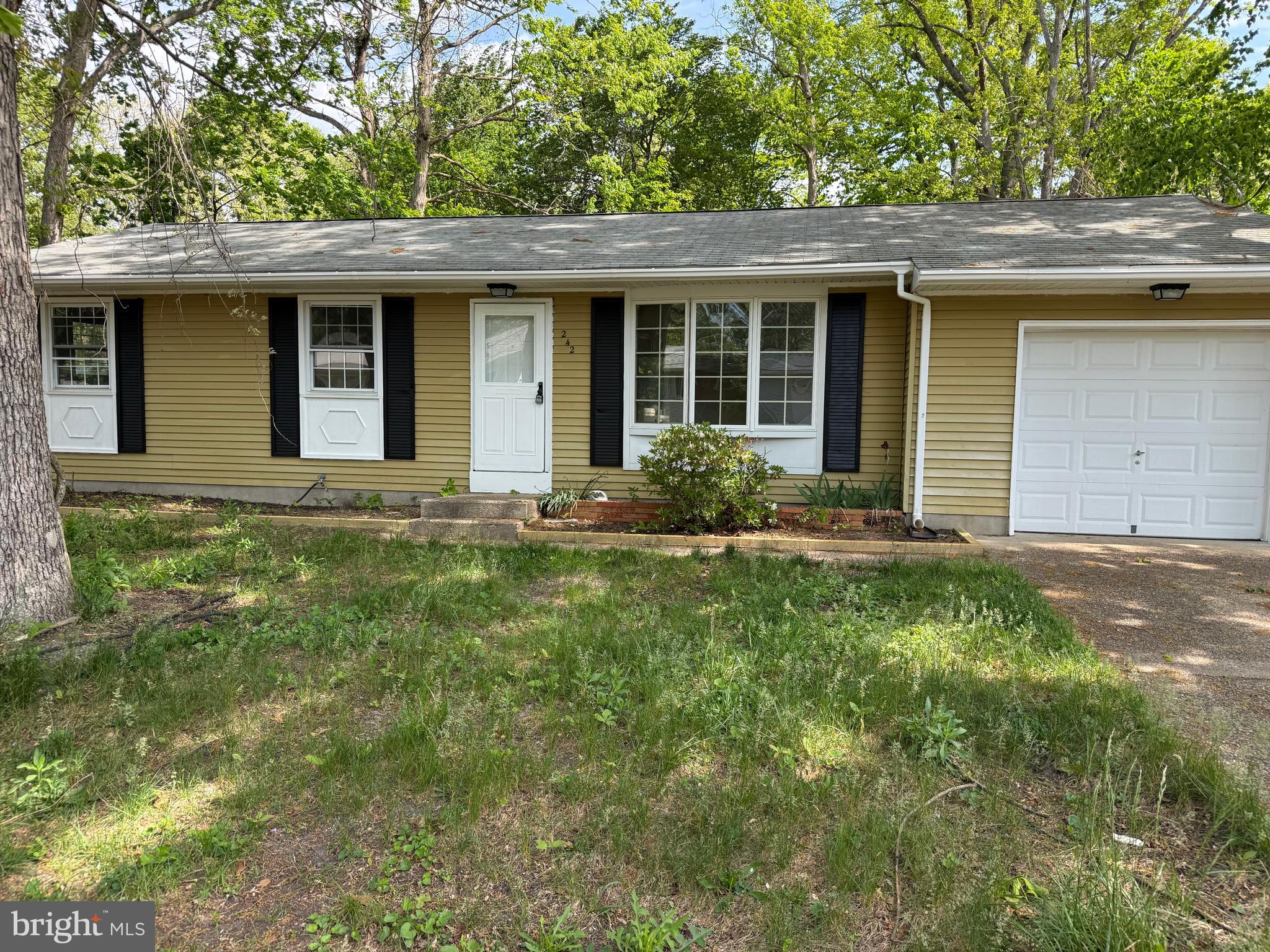 242 CURTIN AVENUE