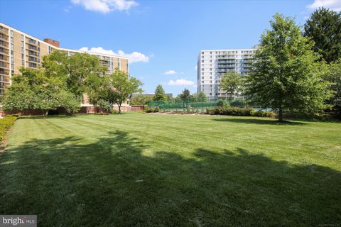 listing image 42