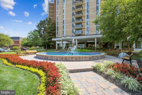 6800 FLEETWOOD ROAD 1206 MCLEAN VA 22101