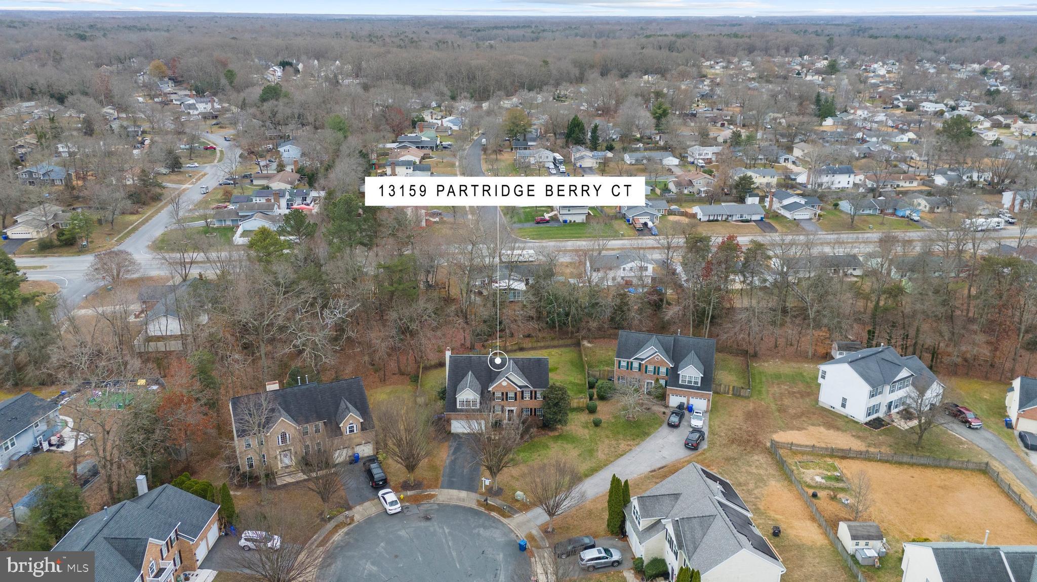 CEDAR TREE - Residential