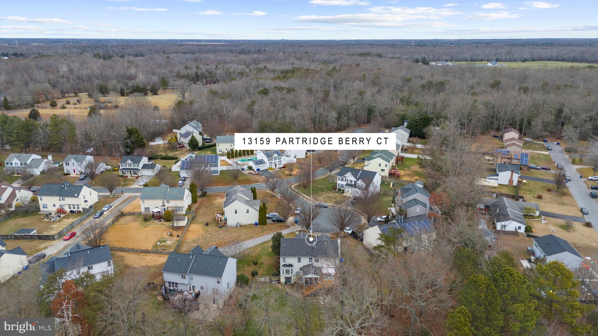 CEDAR TREE - Residential