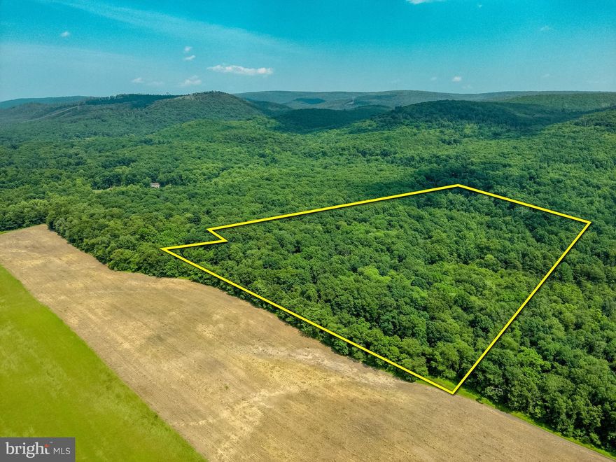 Situated just off I-81 between Chambersburg and Shippensburg, this secluded 19.86± acre tract in Franklin County lies in close proximity to Michaux State Forest and offers an ideal mix of seclusion, wildlife habitat, and future potential. Accessed via a private dual-gated entrance of White Church Rd, the land features mostly flat, easily walkable terrain. It is bordered by productive ag fields and mature orchards, naturally enhancing its ability to hold and funnel deer.

A well-defined internal trail runs through the heart of the property, surrounded by quality hardwood timber and several naturally occurring water holes that attract and sustain wildlife. Whether you're looking to build a weekend cabin, establish a long-term homestead, or simply enjoy a private hunting or recreation property, this parcel is ready. It comes with a recent boundary survey, a previously approved perk test, and electric service located along the southeastern edge for convenient hookup.

Though private and off the beaten path, this property remains conveniently located to nearby towns, outdoor destinations, and major travel routes, making it a rare and valuable opportunity in one of South Central Pennsylvania's most sought-after rural corridors.