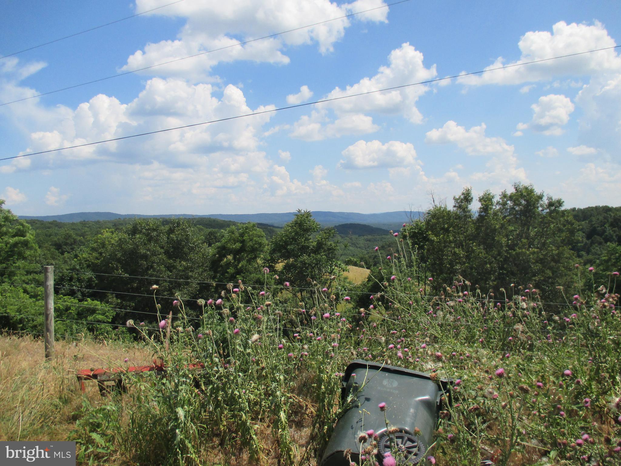 NONE AVAILABLE - Farm