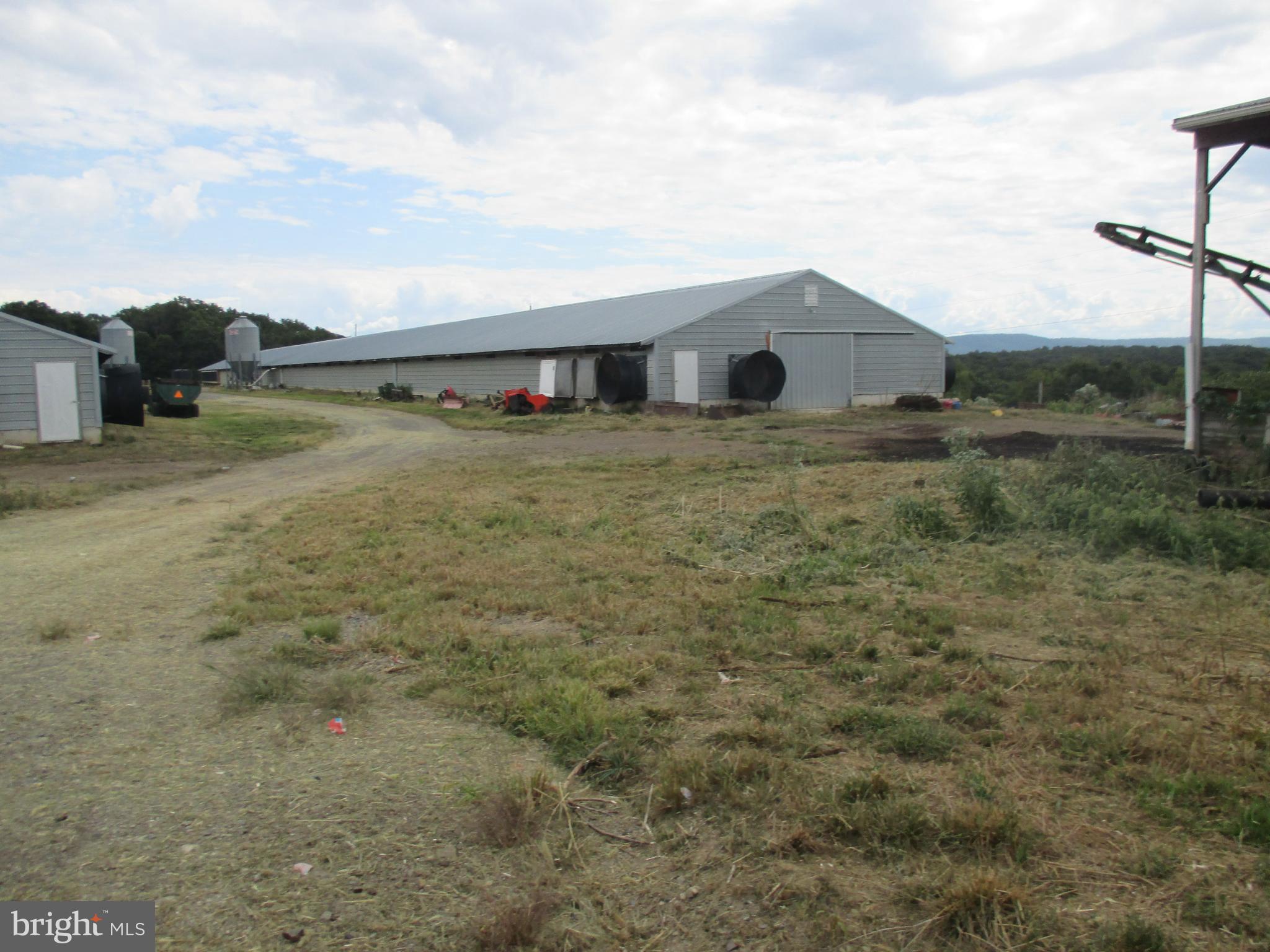 NONE AVAILABLE - Farm