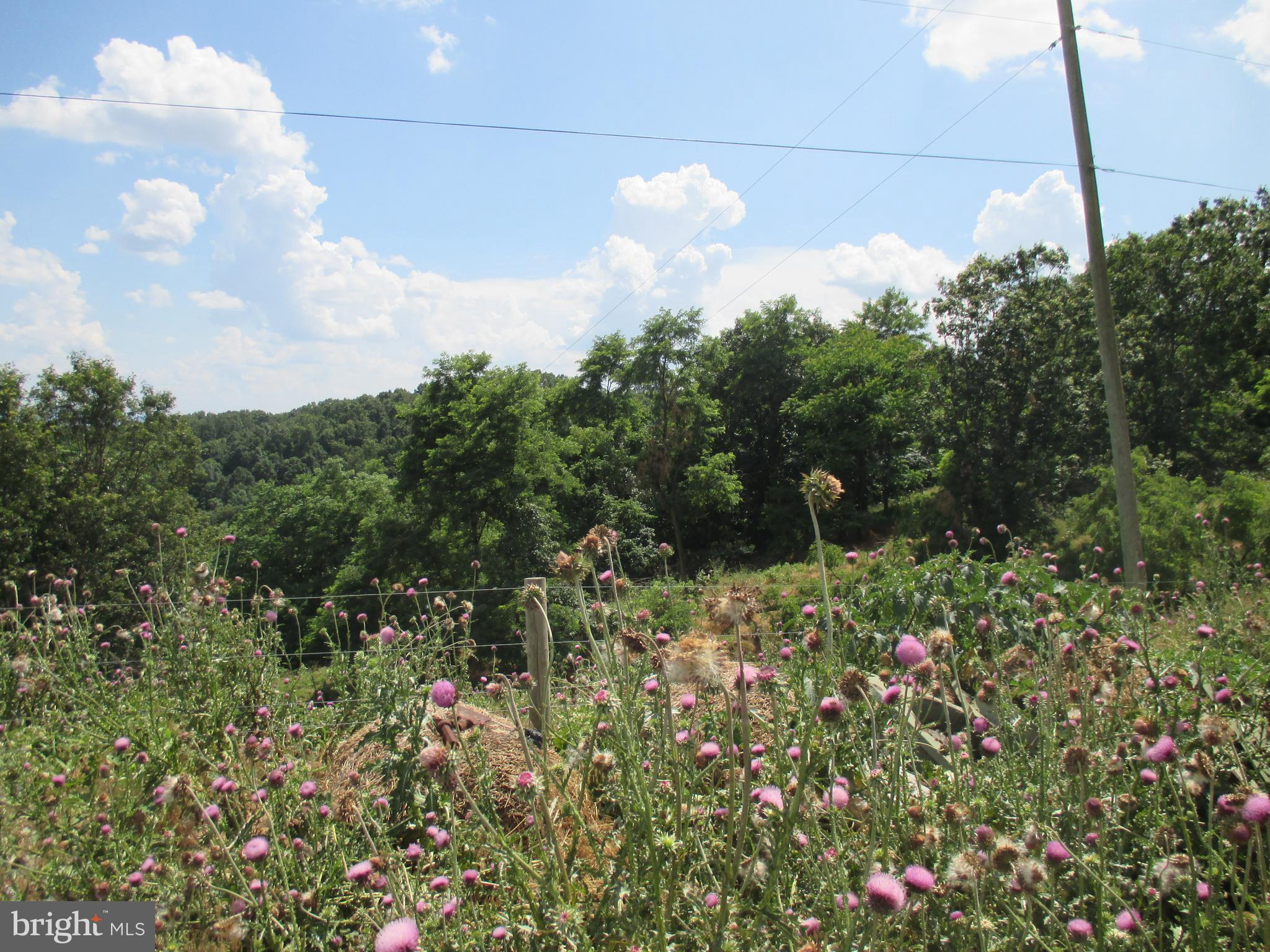 NONE AVAILABLE - Farm