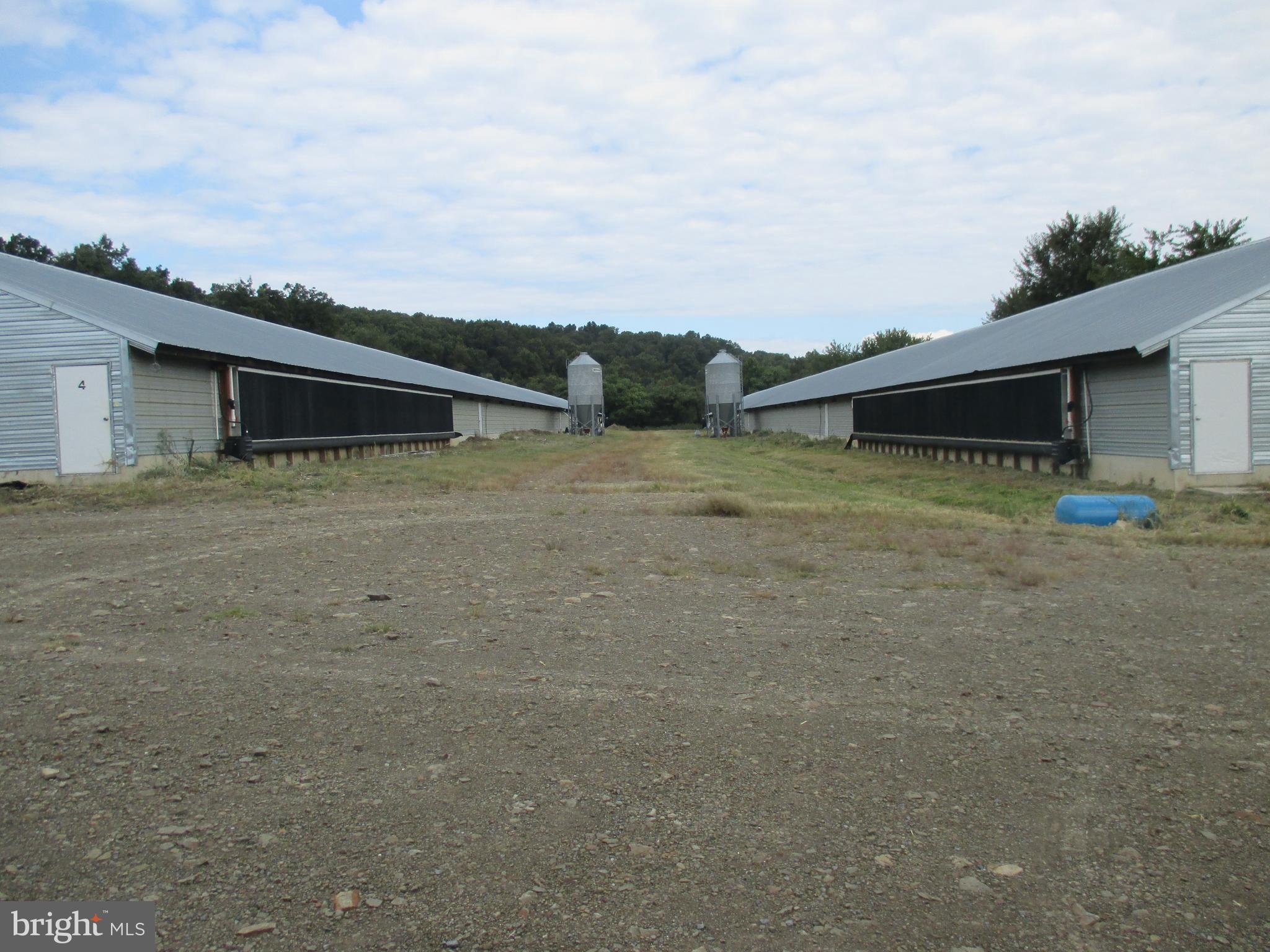 NONE AVAILABLE - Farm