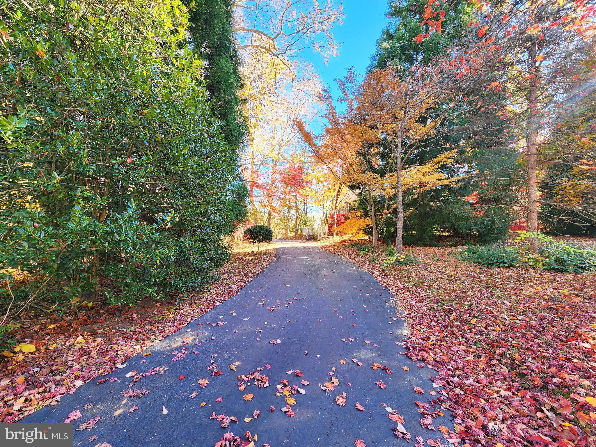 LEESWOOD - Residential