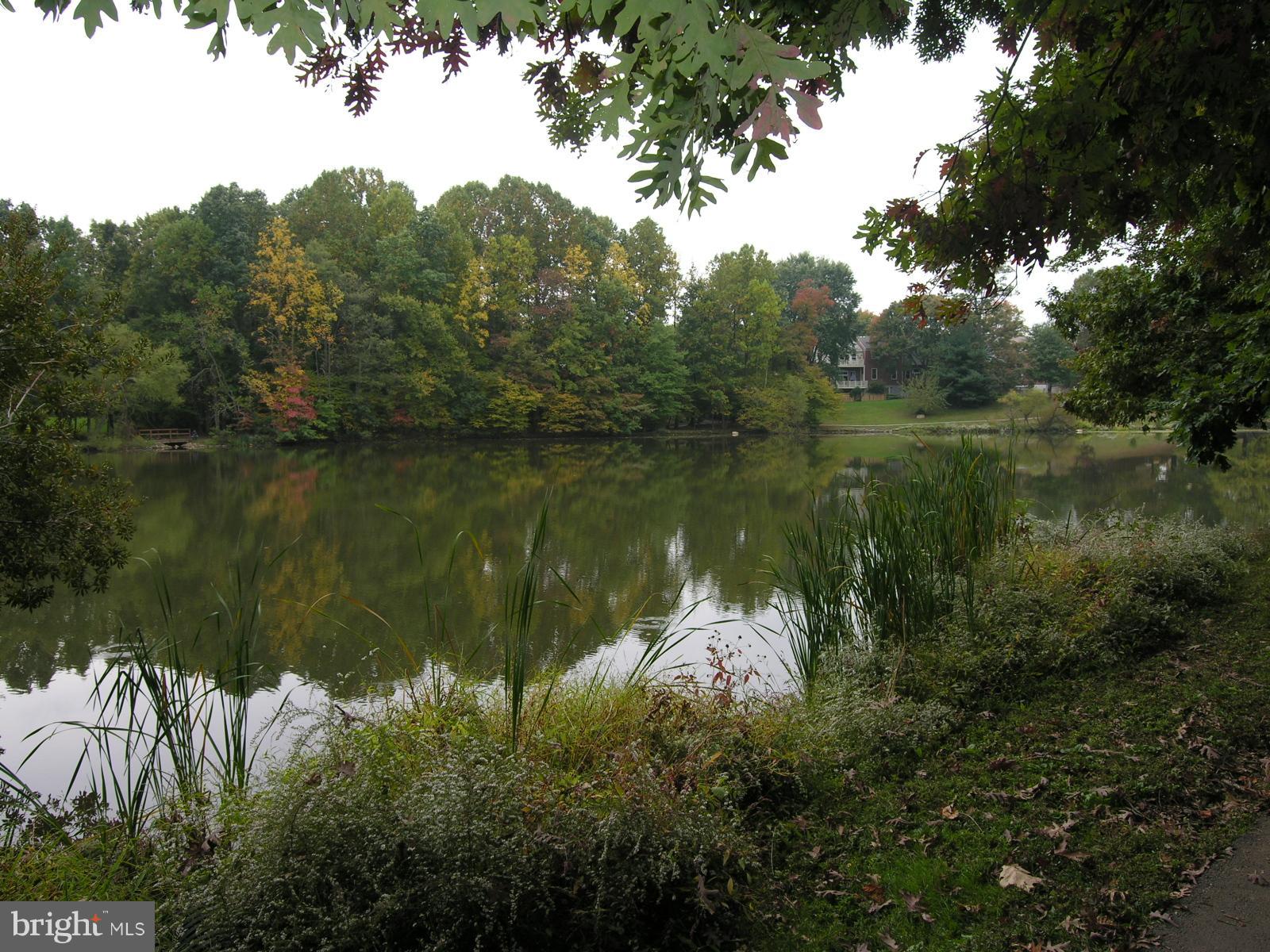 LAKE BRADDOCK - Residential