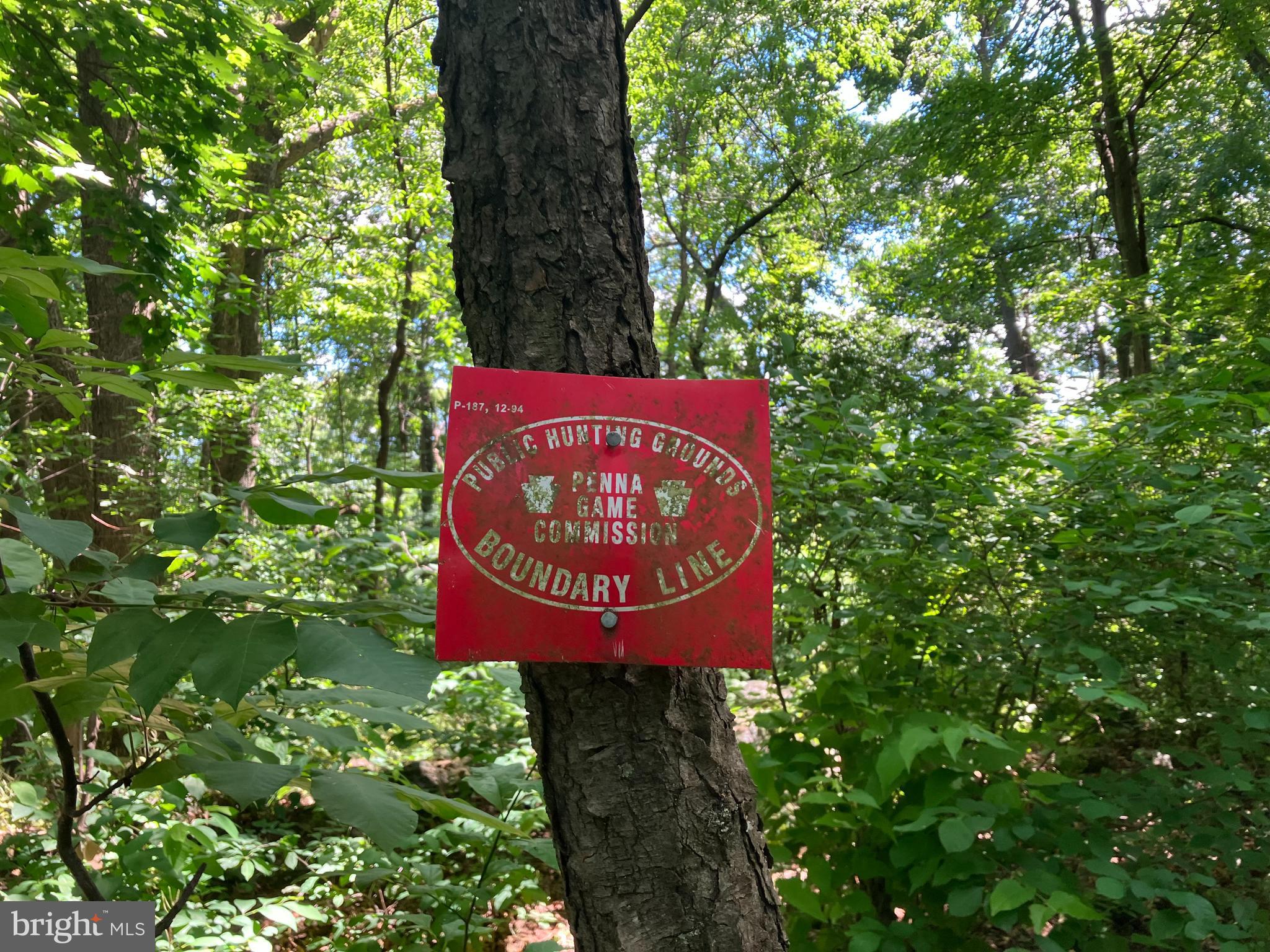 353 UPPER BAILEY ROAD