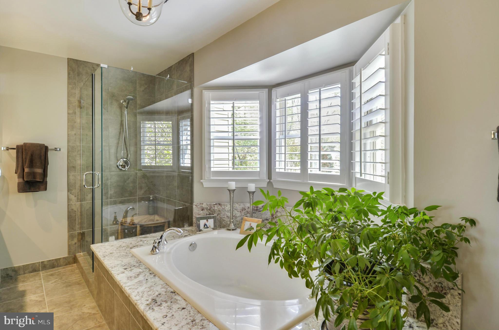 COLLINGWOOD SPRINGS - Residential