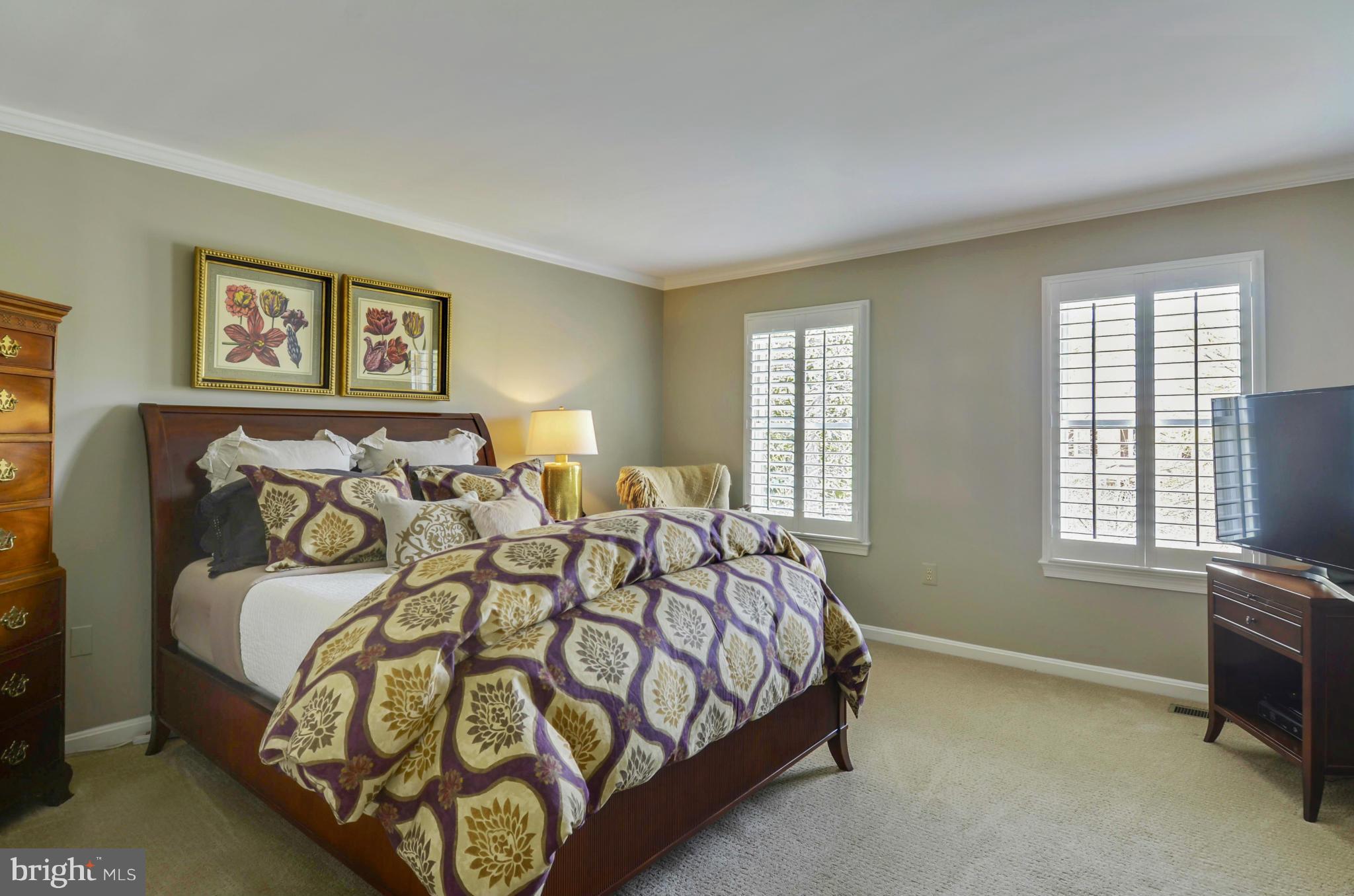 COLLINGWOOD SPRINGS - Residential